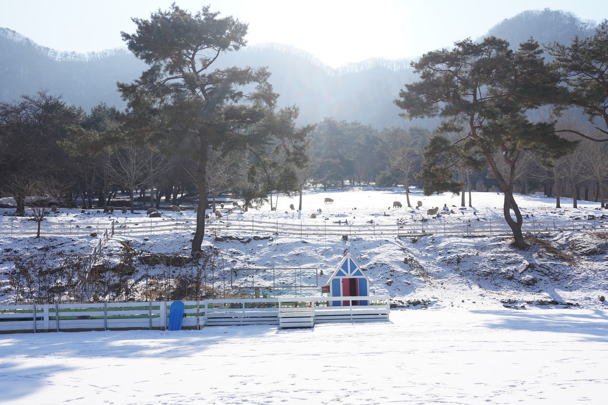 Chuncheon 3 (8)