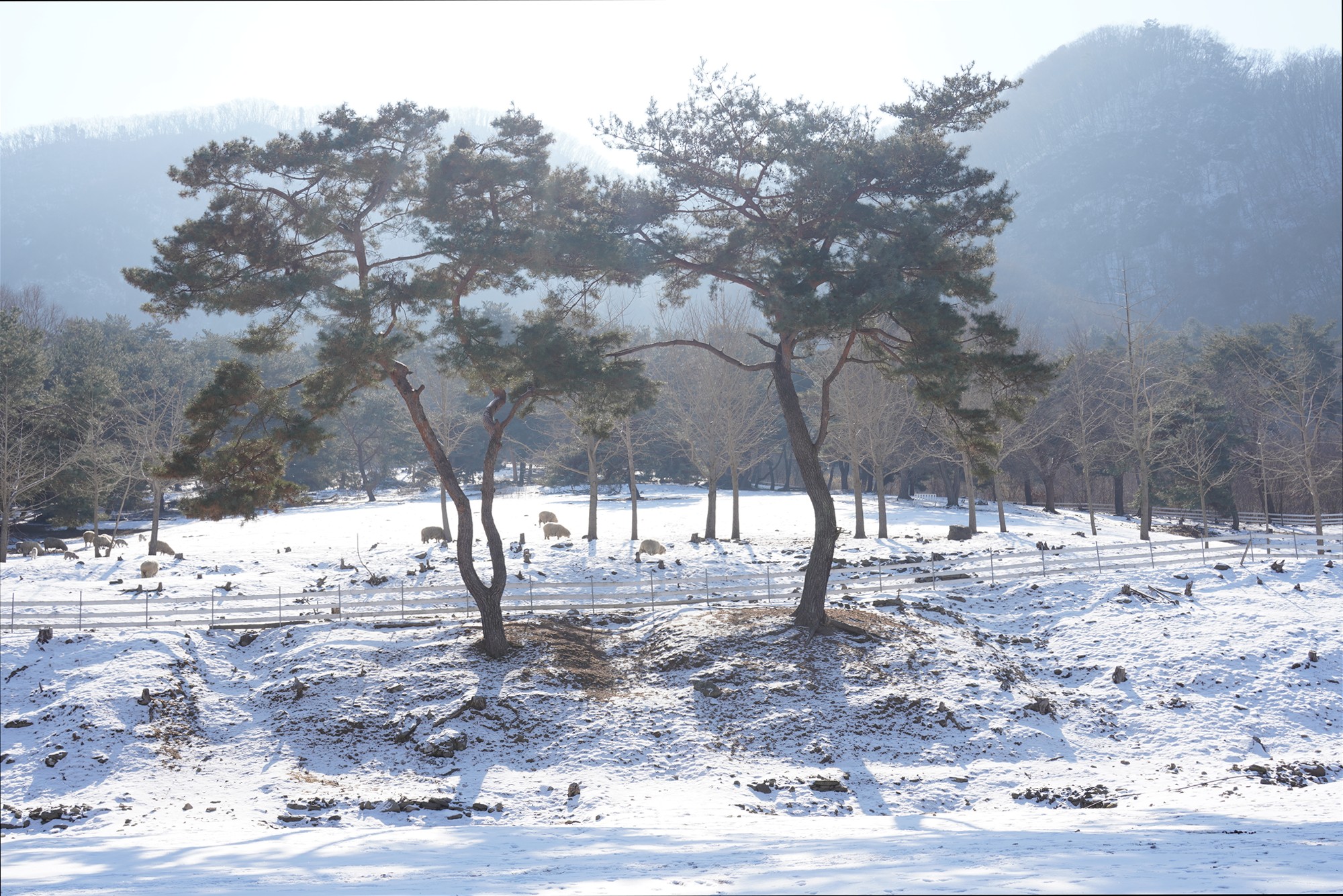 Chuncheon 3 (9)