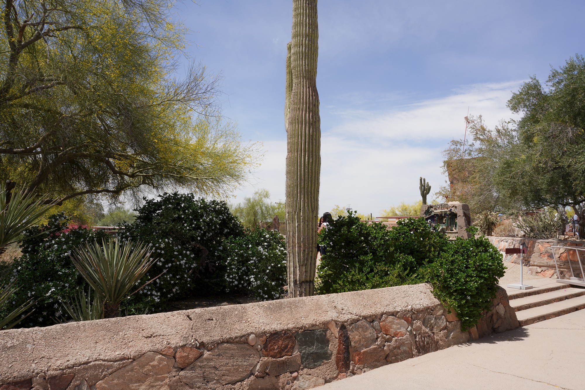 Phoenix 1 (12)