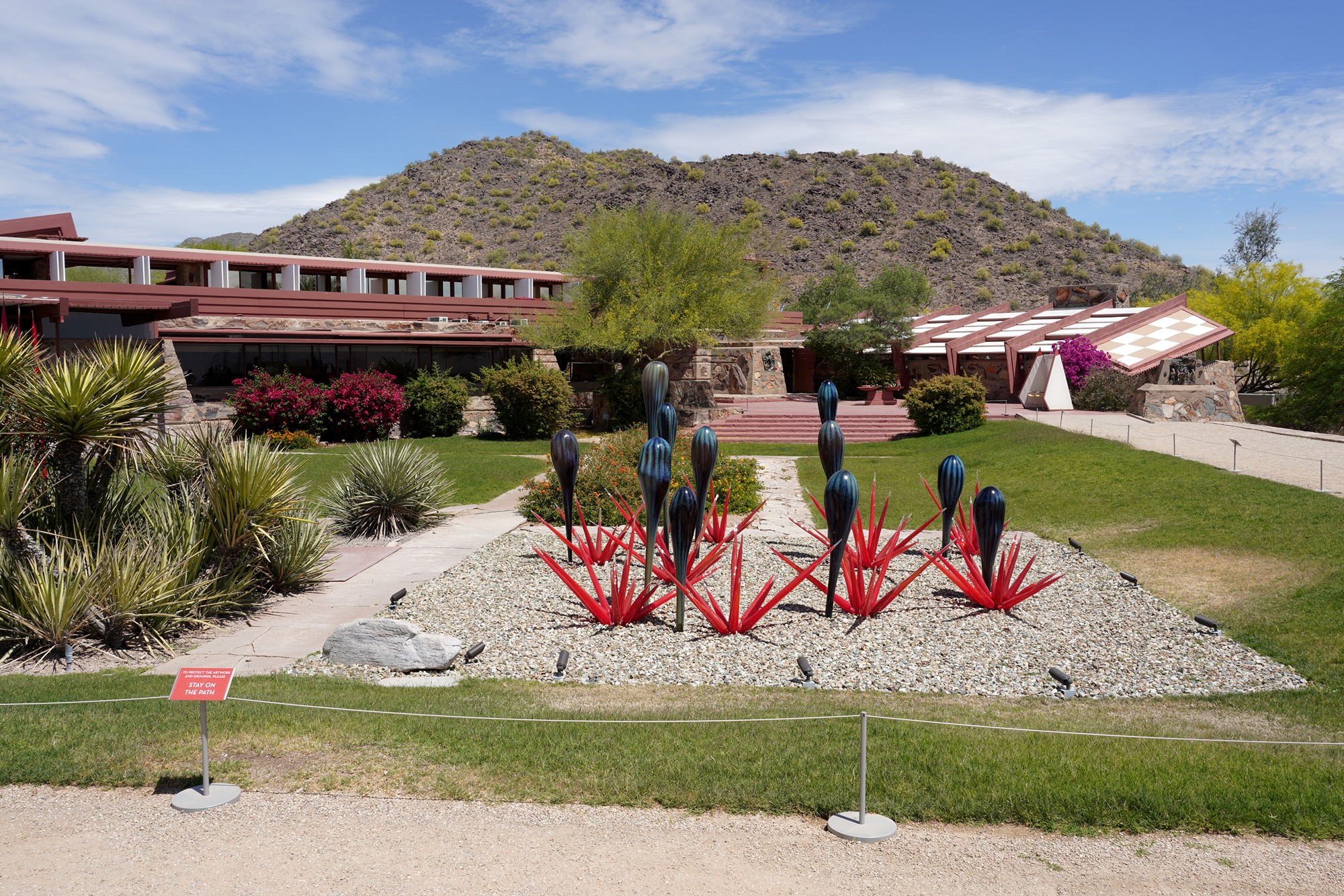 Phoenix 1 (21)