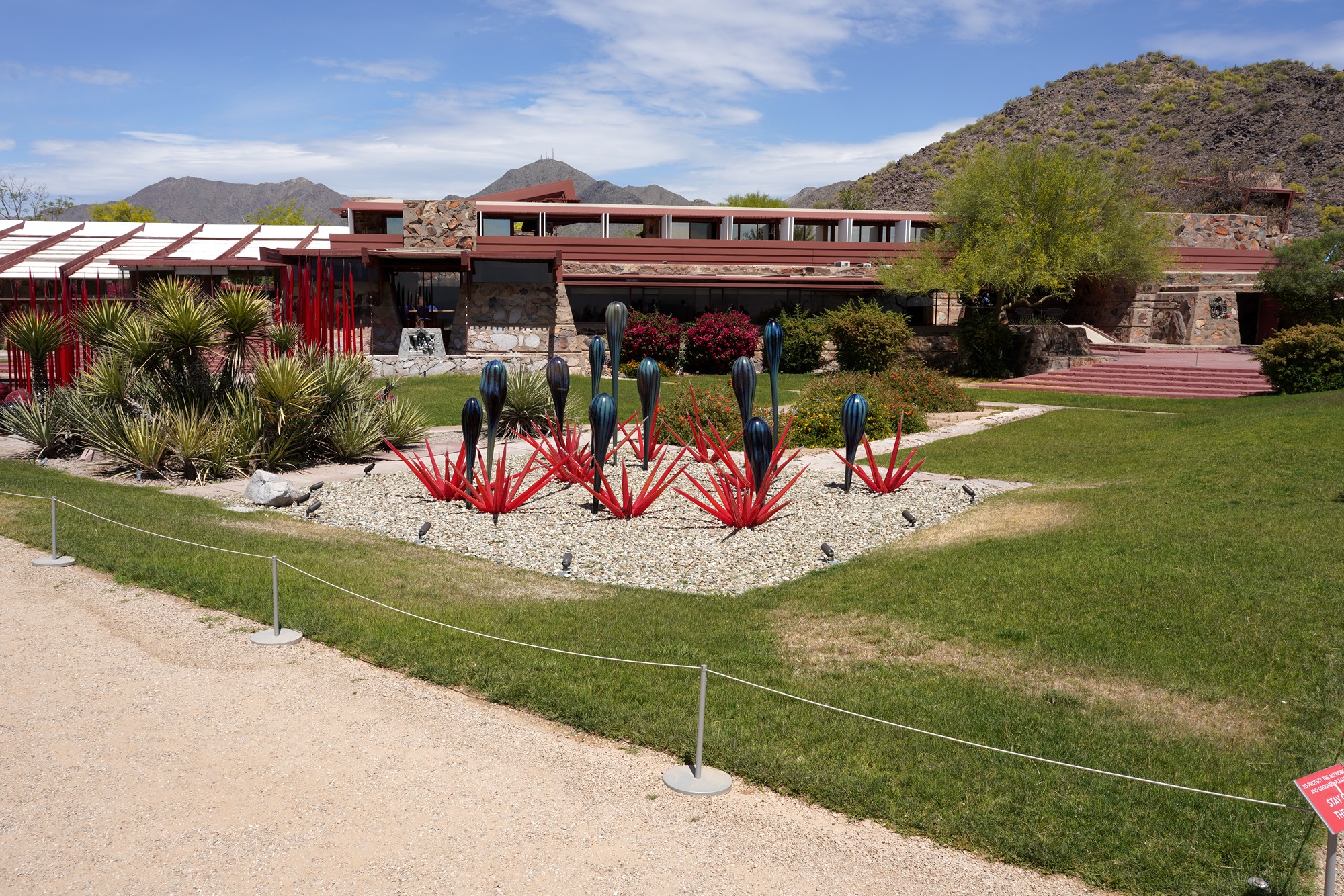Phoenix 1 (23)