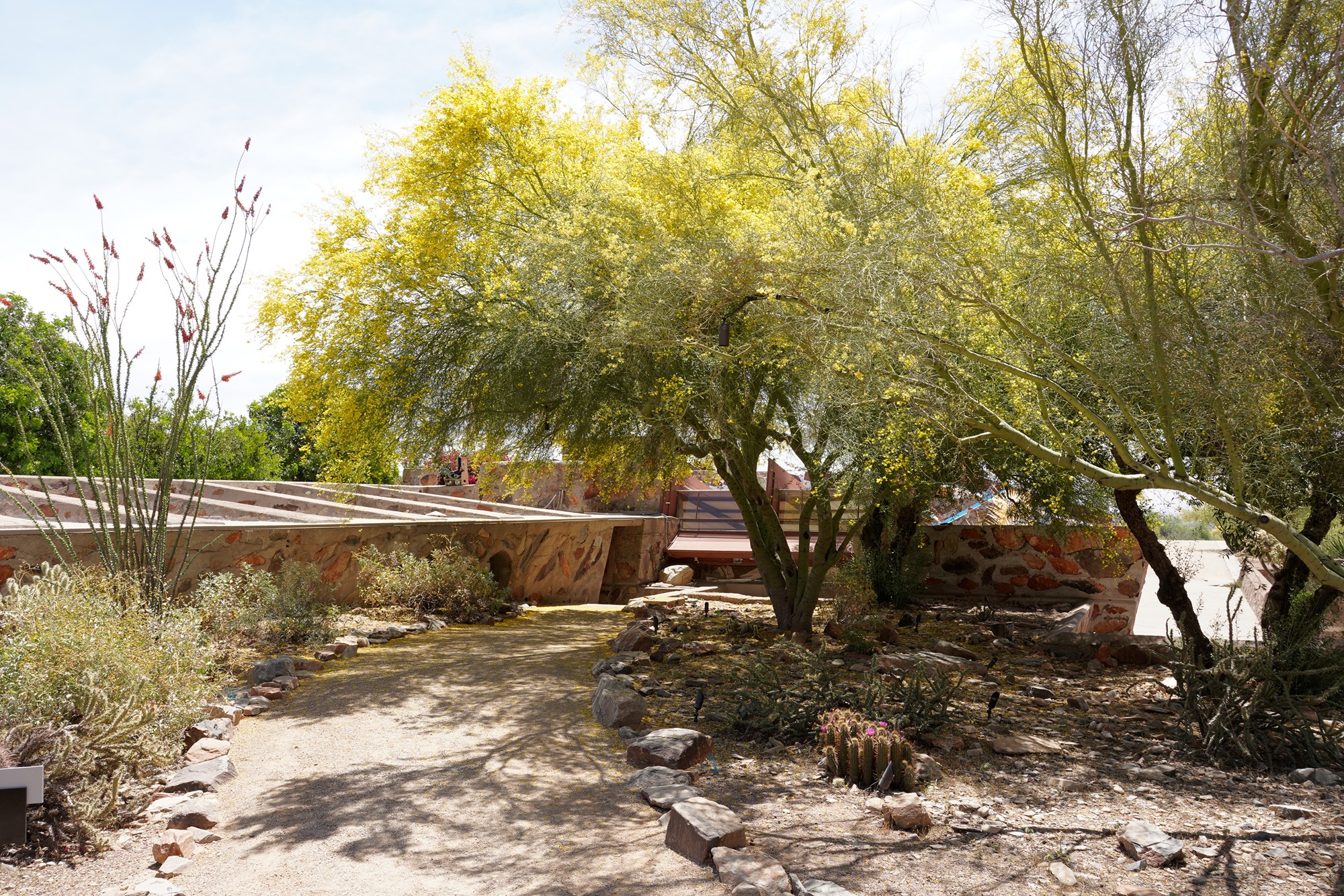 Phoenix 1 (37)