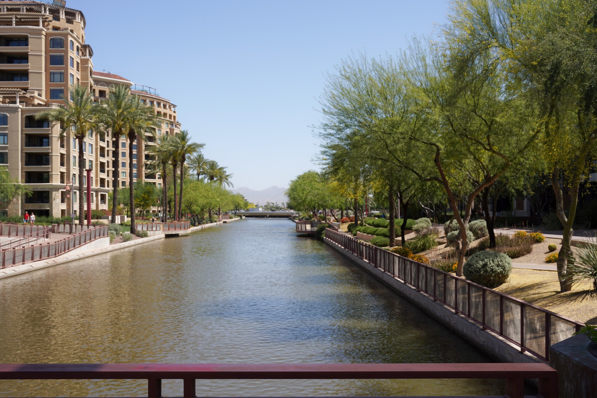 Phoenix 3 (12)