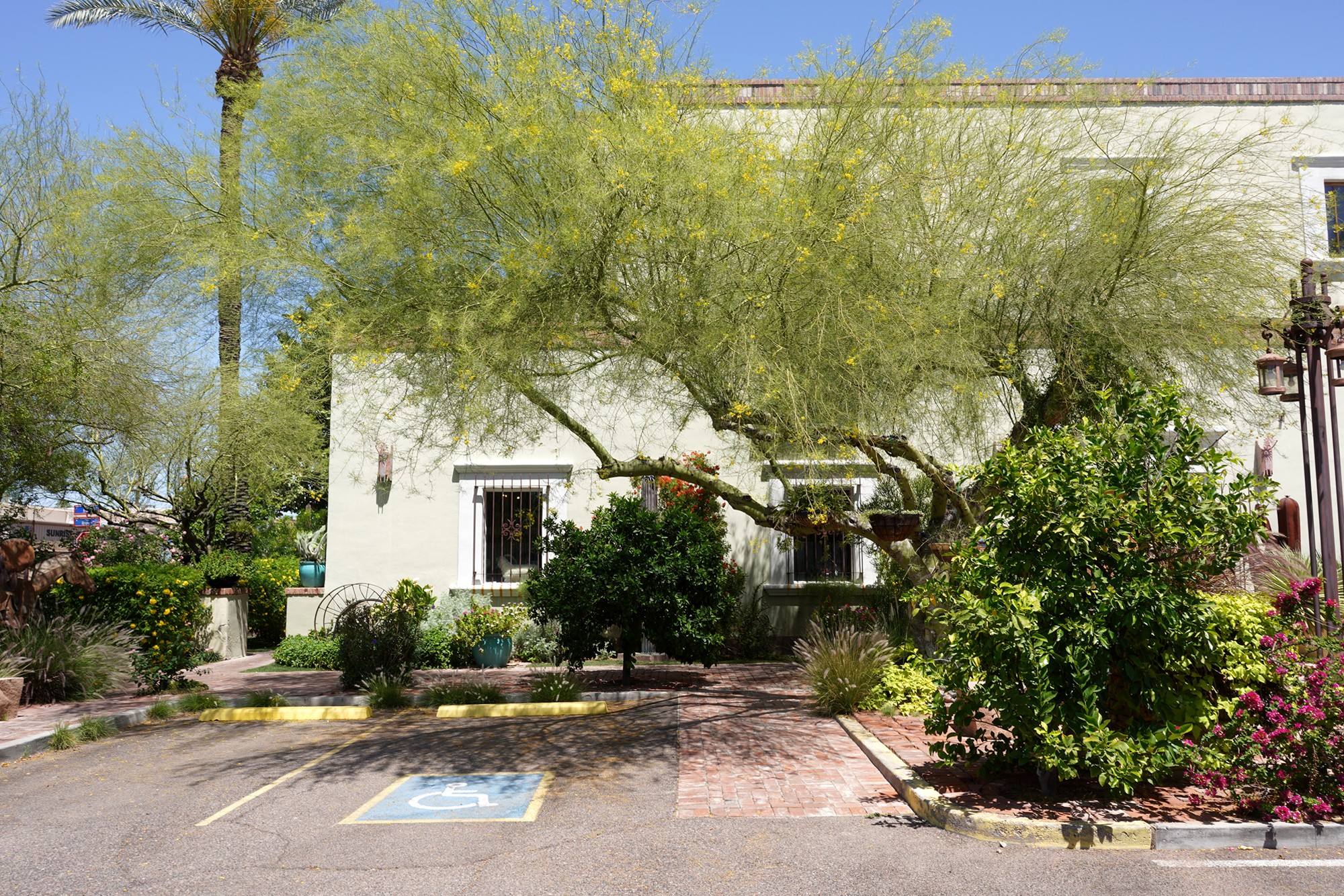 Phoenix 3 (37)