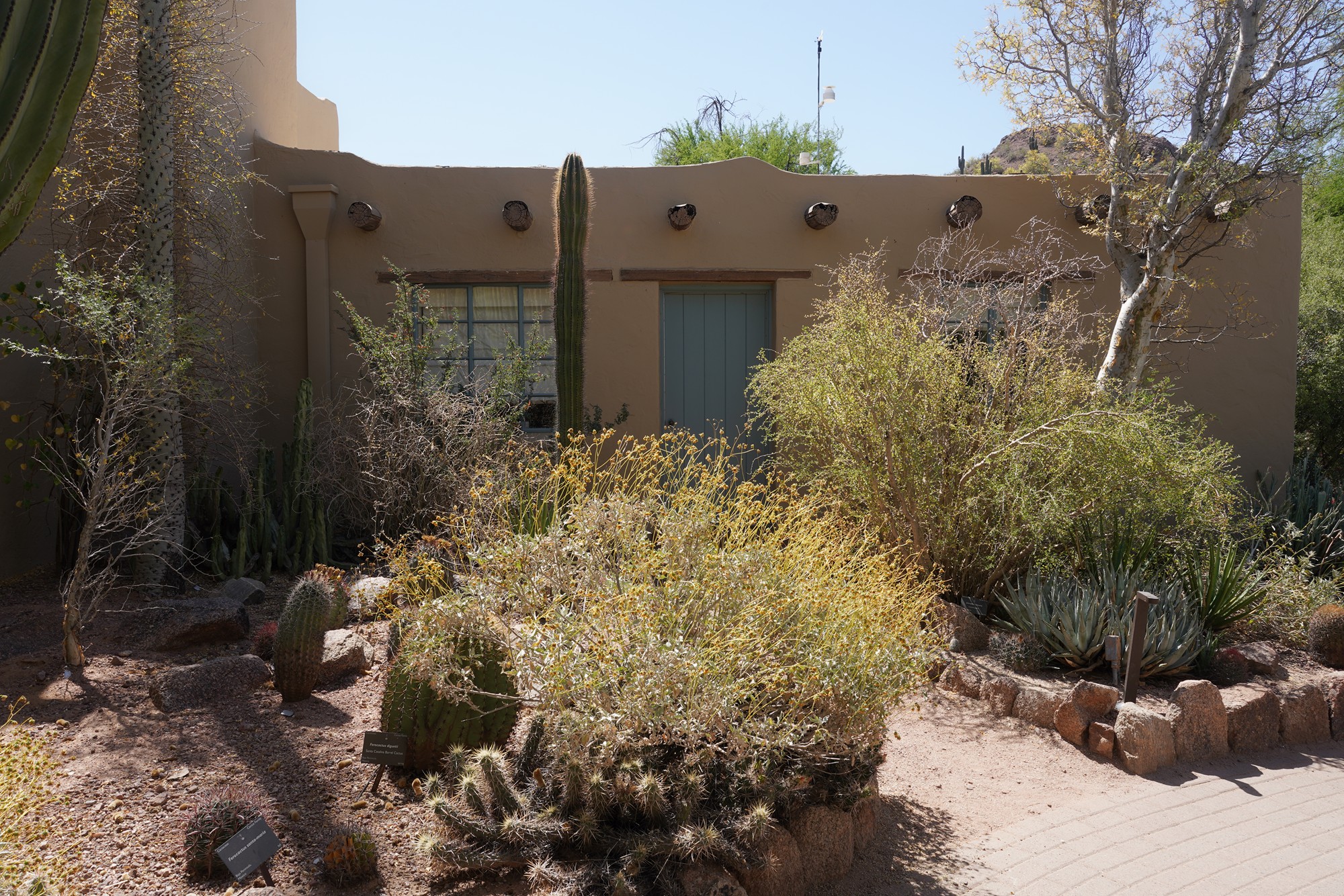 Phoenix 4 (49)