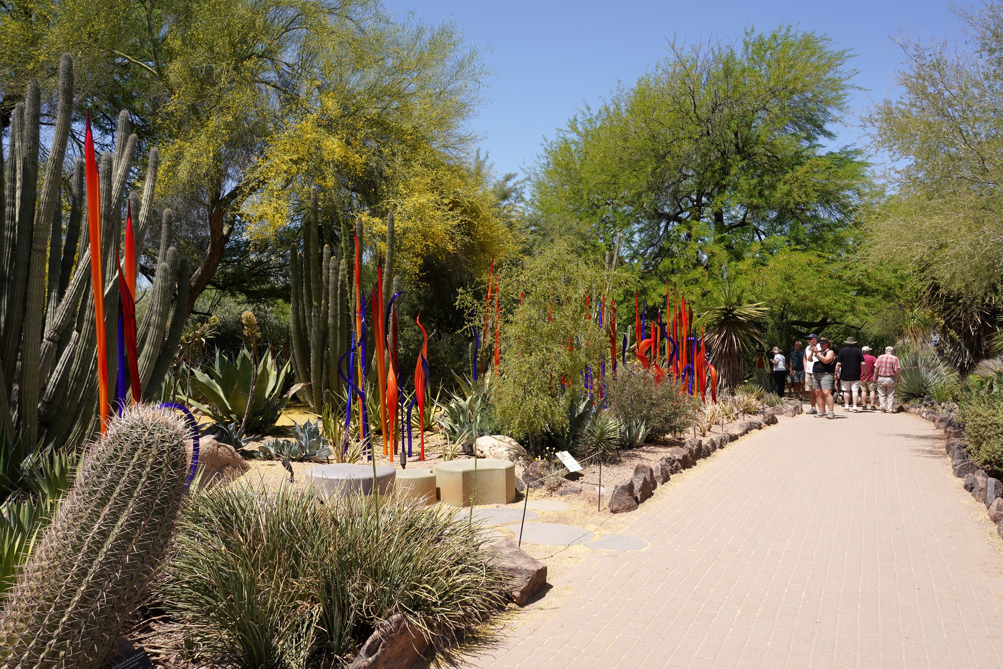 Phoenix 4 (85)