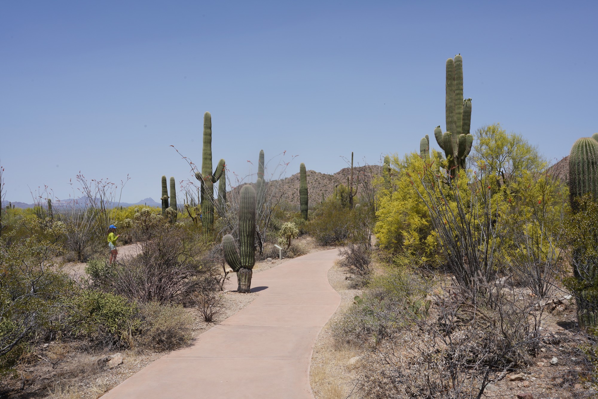 Tucson 1 (10)