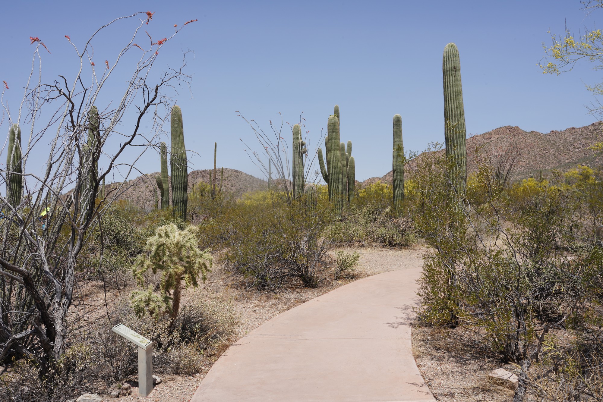 Tucson 1 (12)