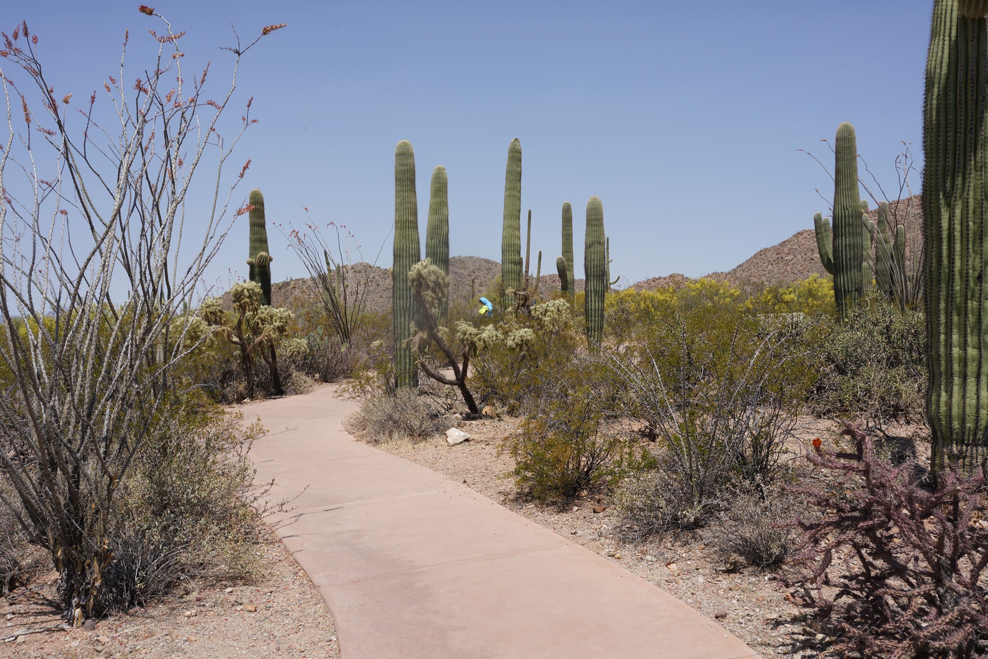 Tucson 1 (14)