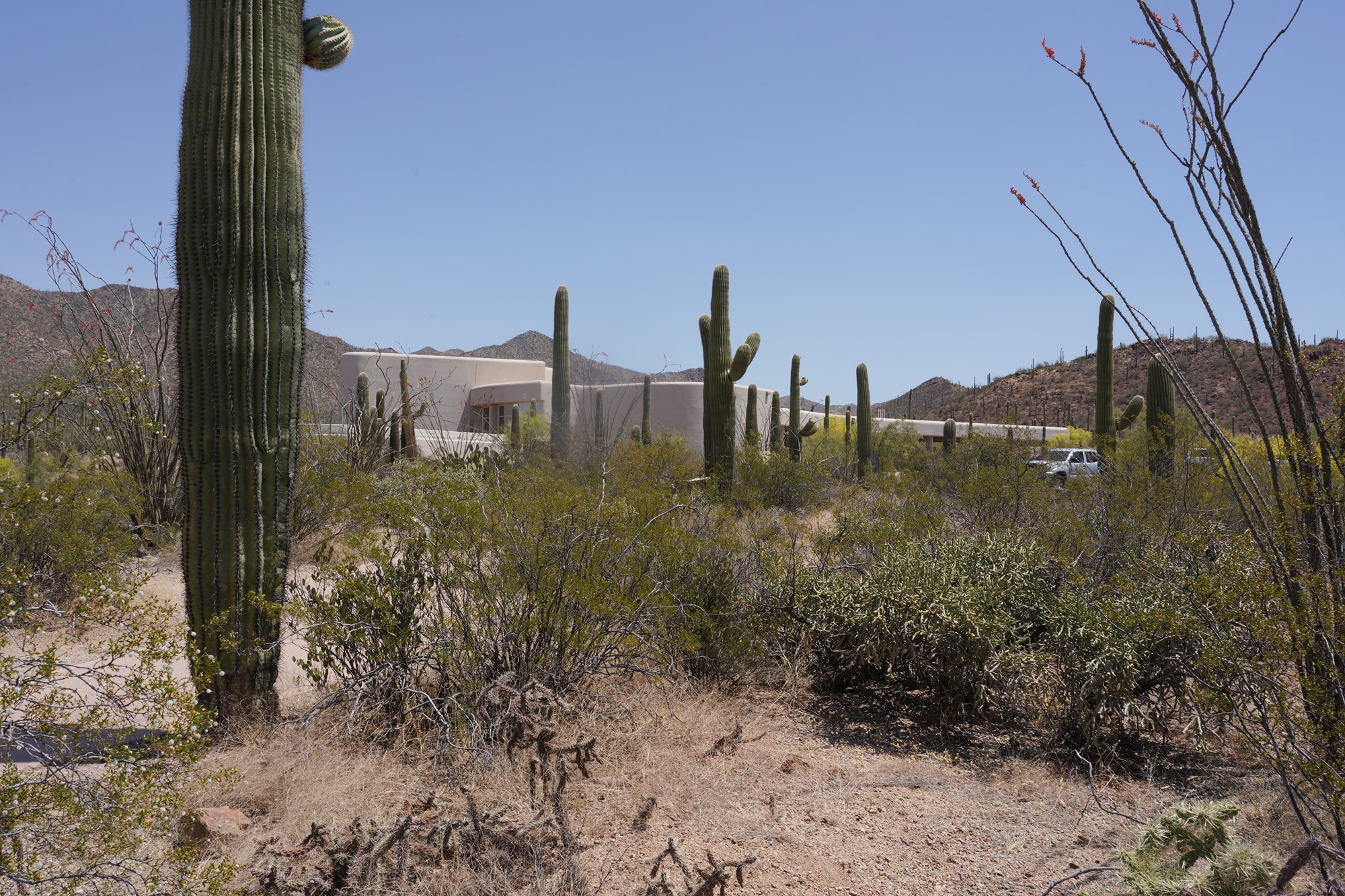 Tucson 1 (15)
