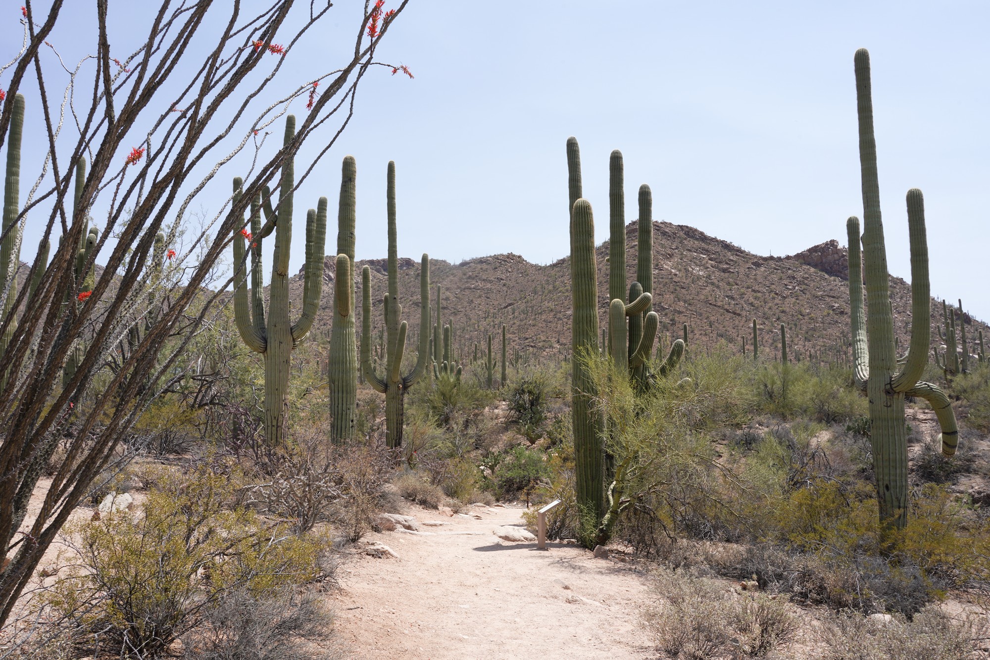 Tucson 1 (26)