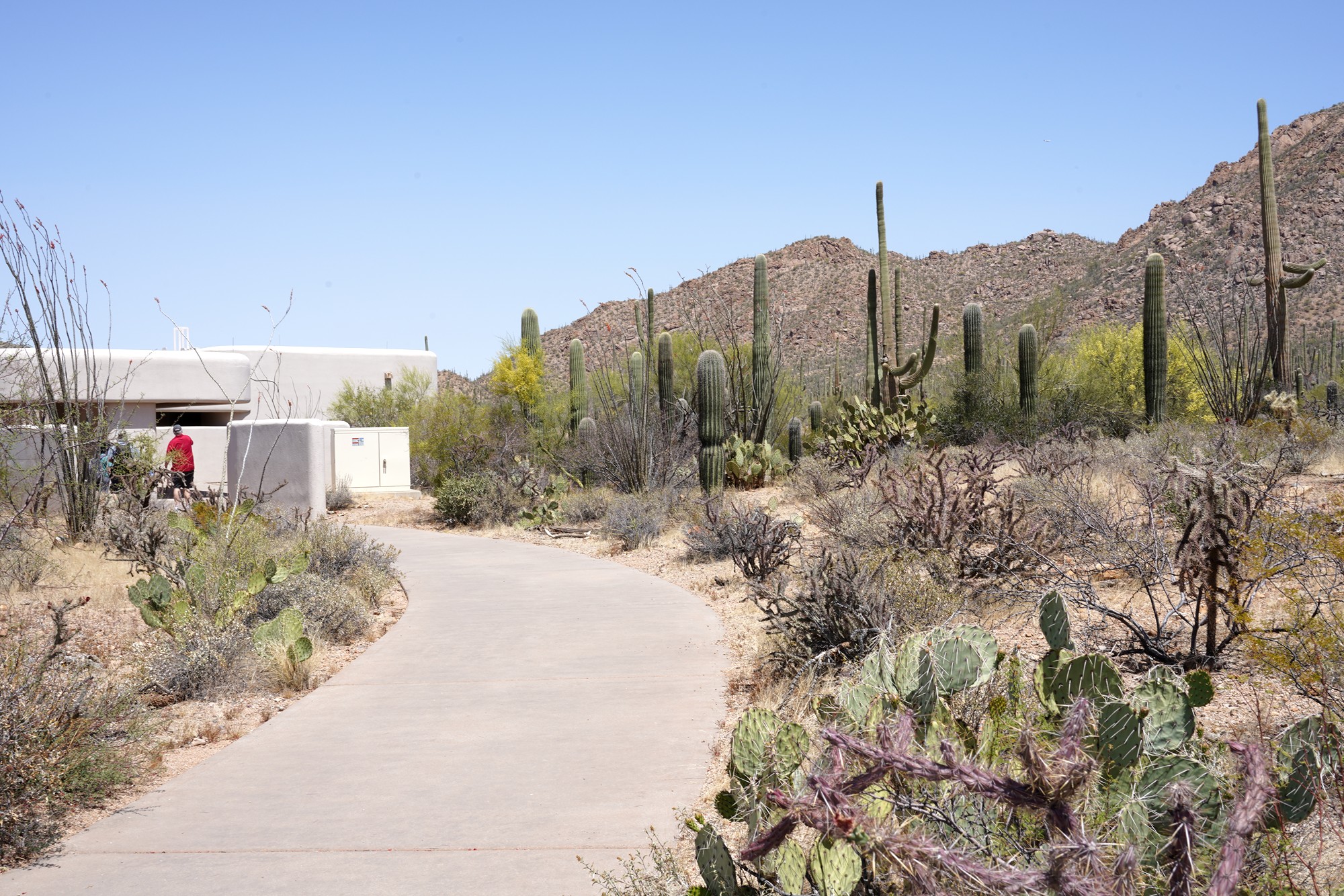 Tucson 1 (3)