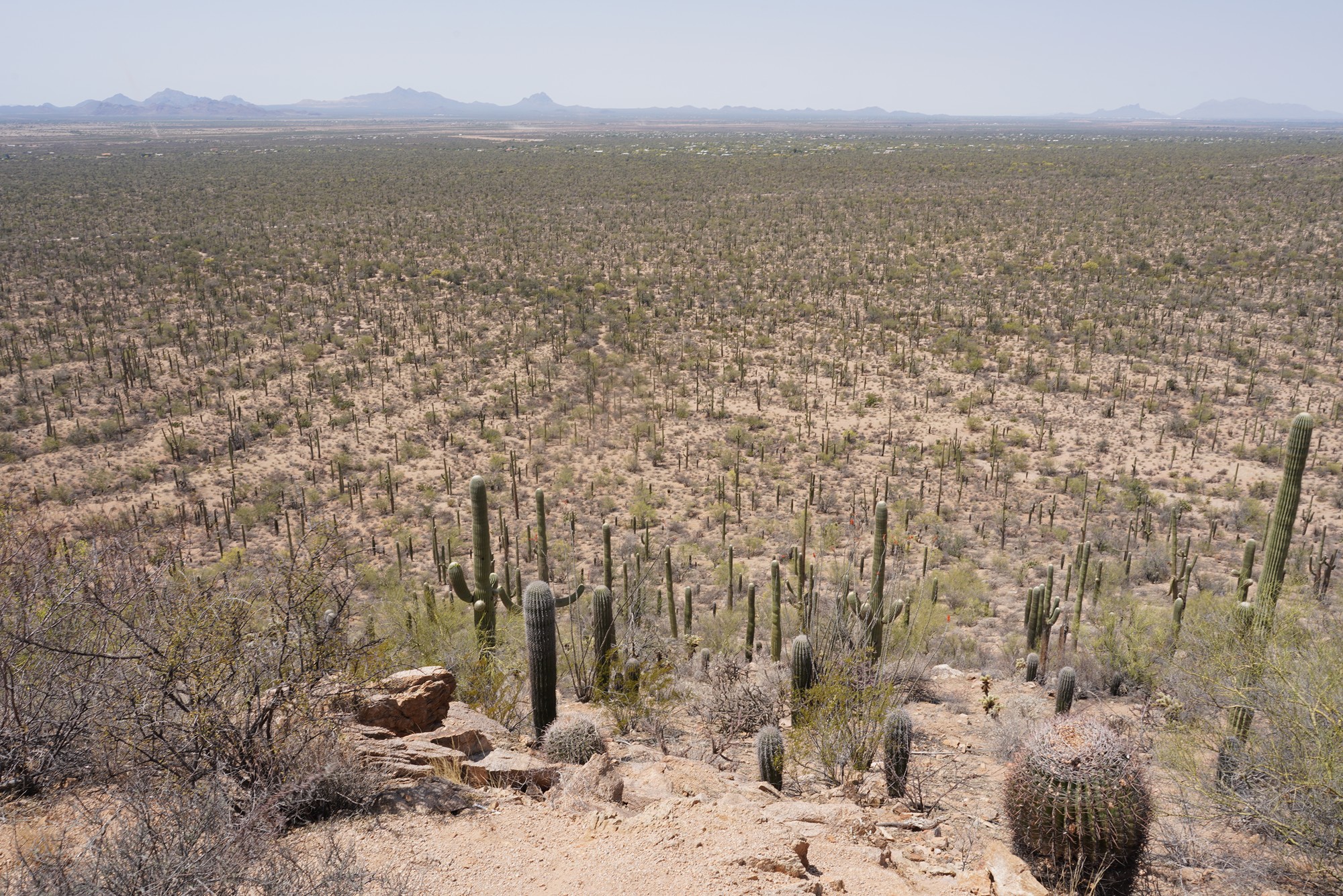 Tucson 1 (35)