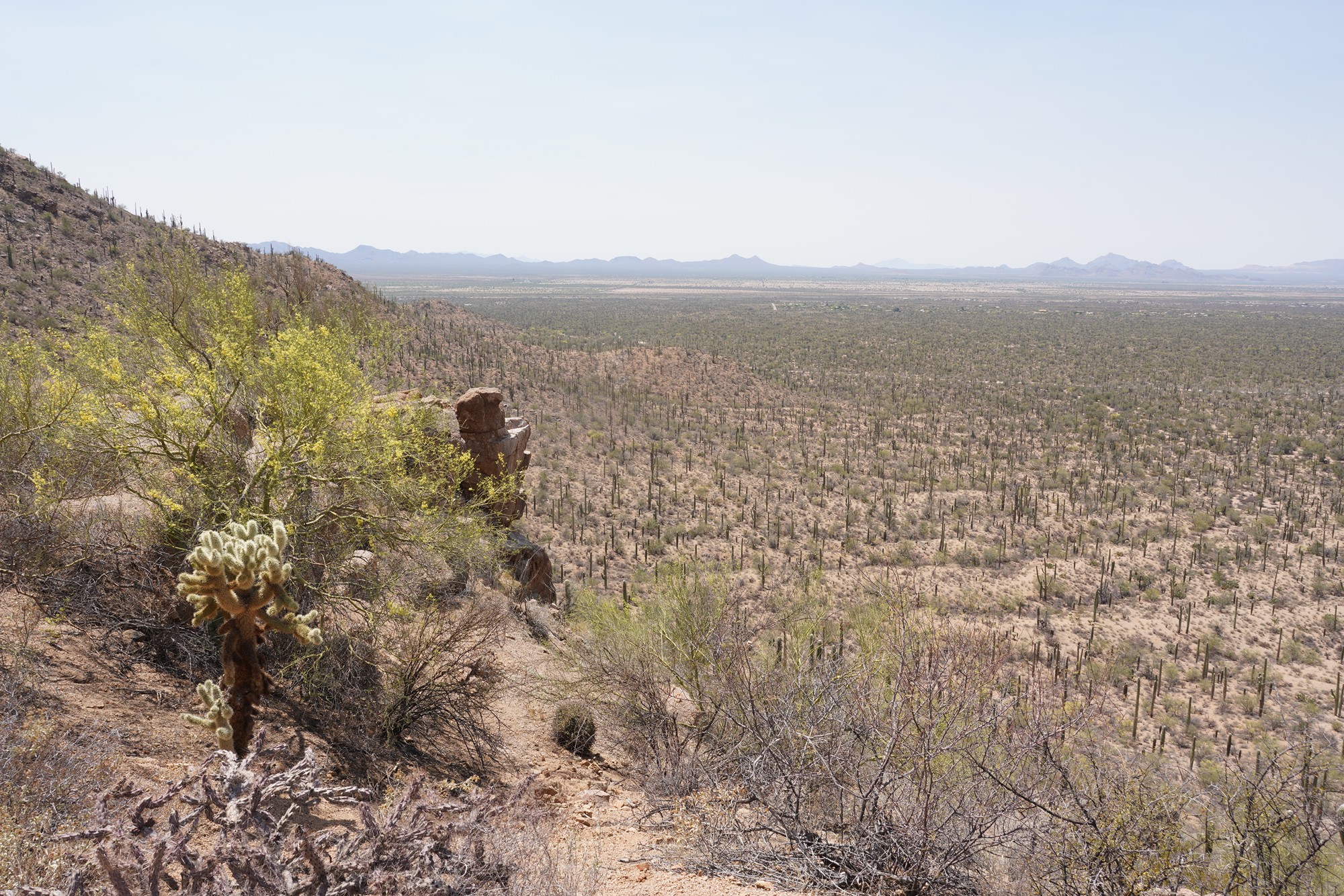 Tucson 1 (36)