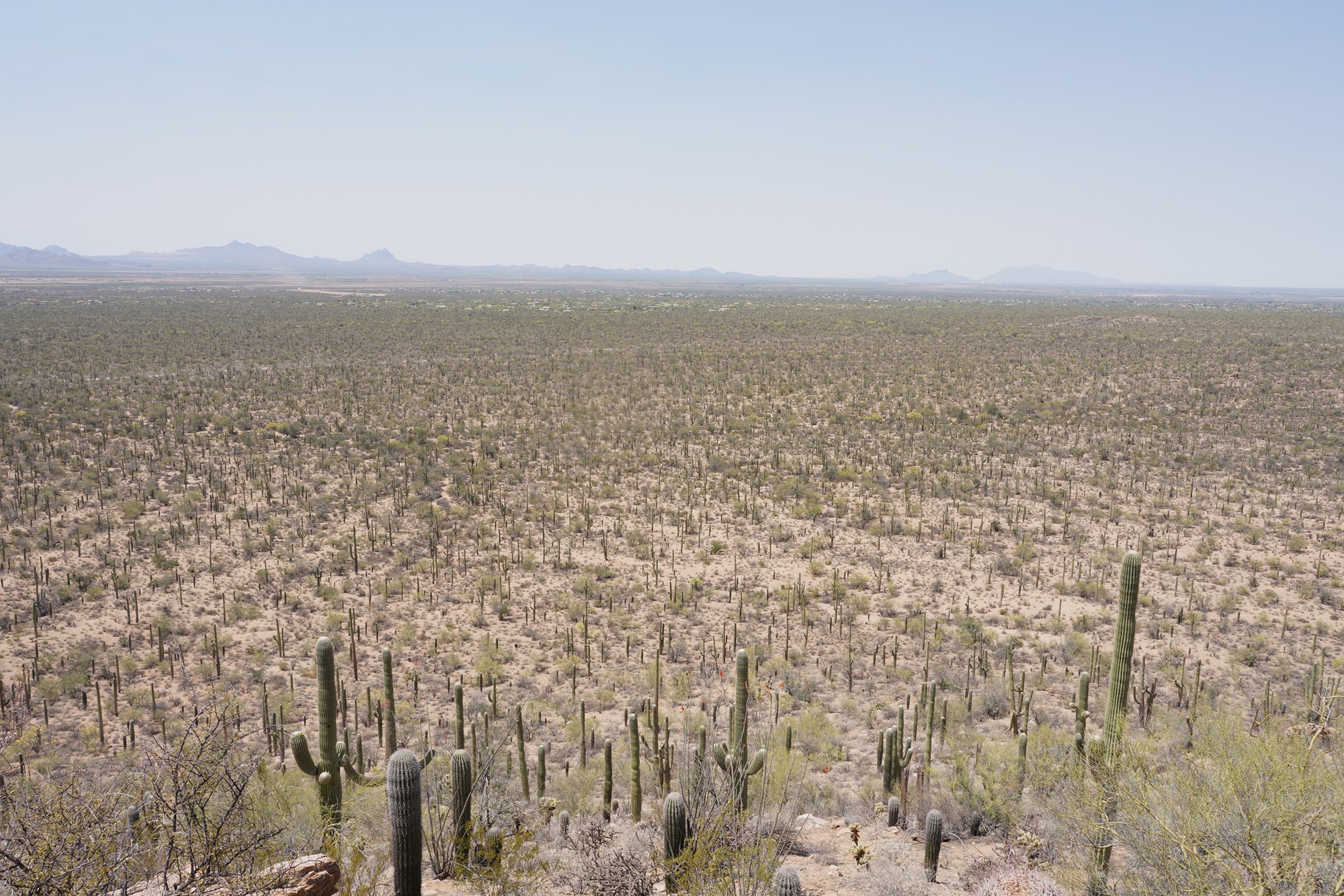 Tucson 1 (37)