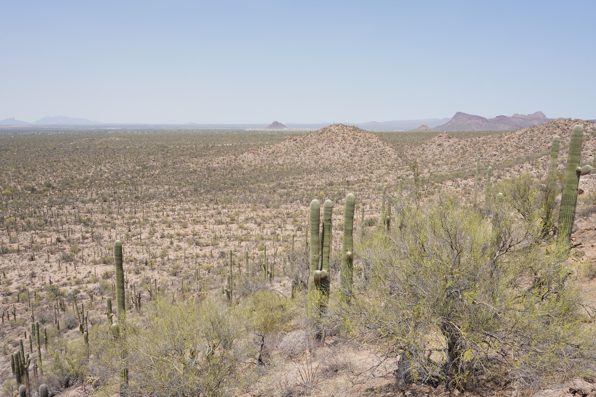 Tucson 1 (38)
