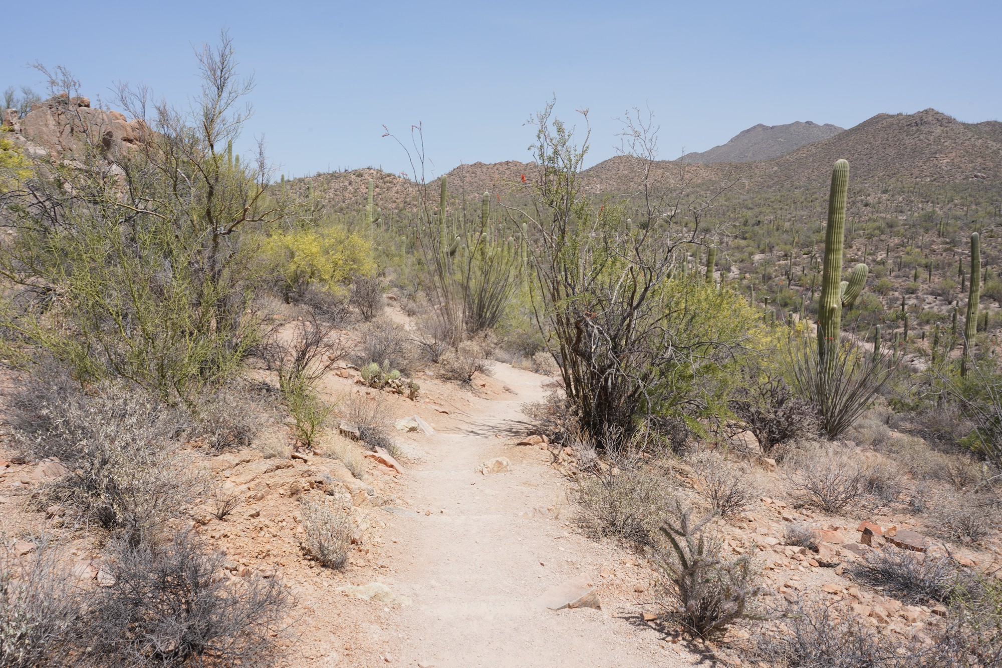 Tucson 1 (39)