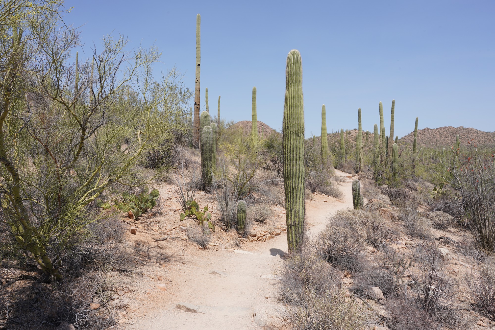 Tucson 1 (40)