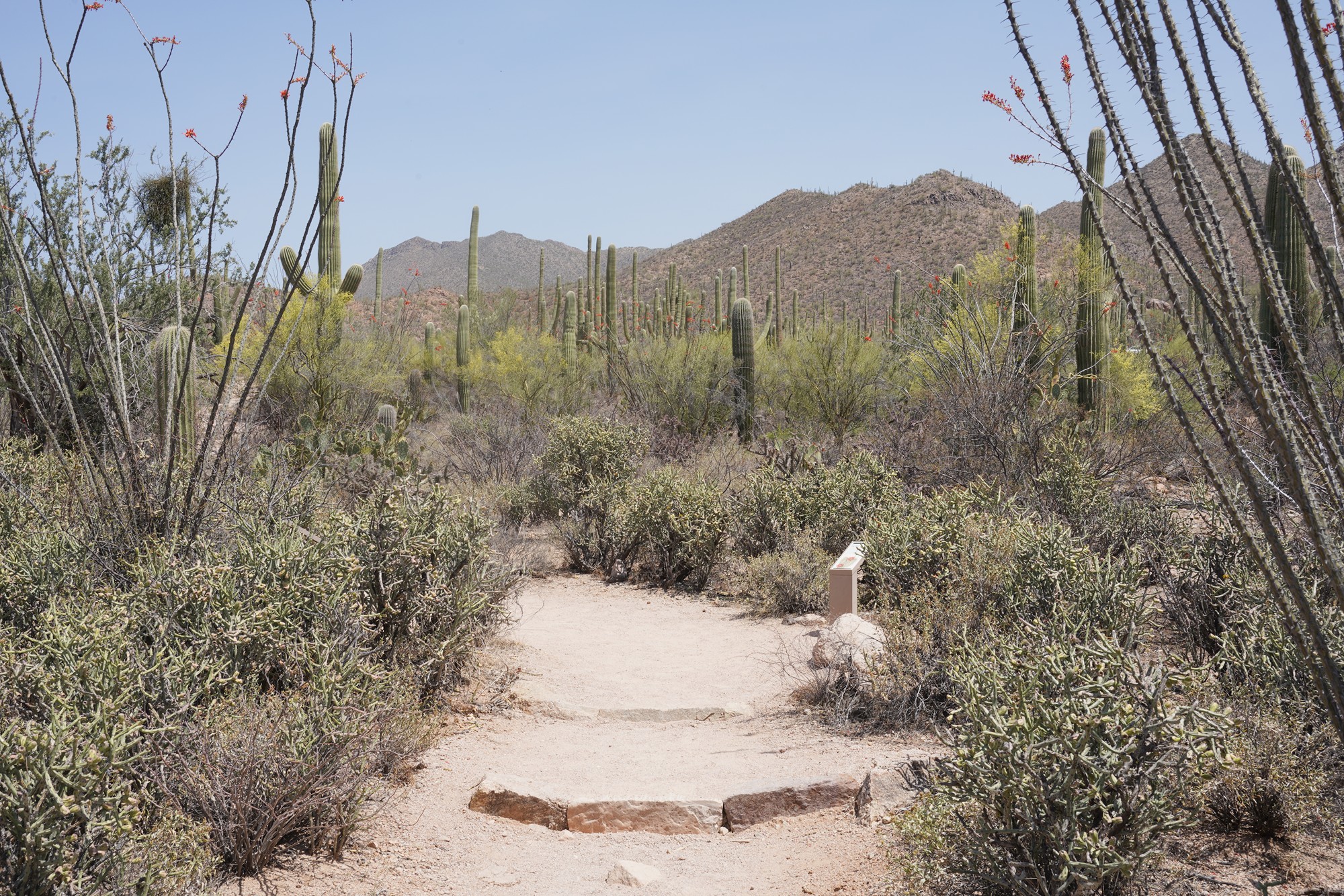 Tucson 1 (43)