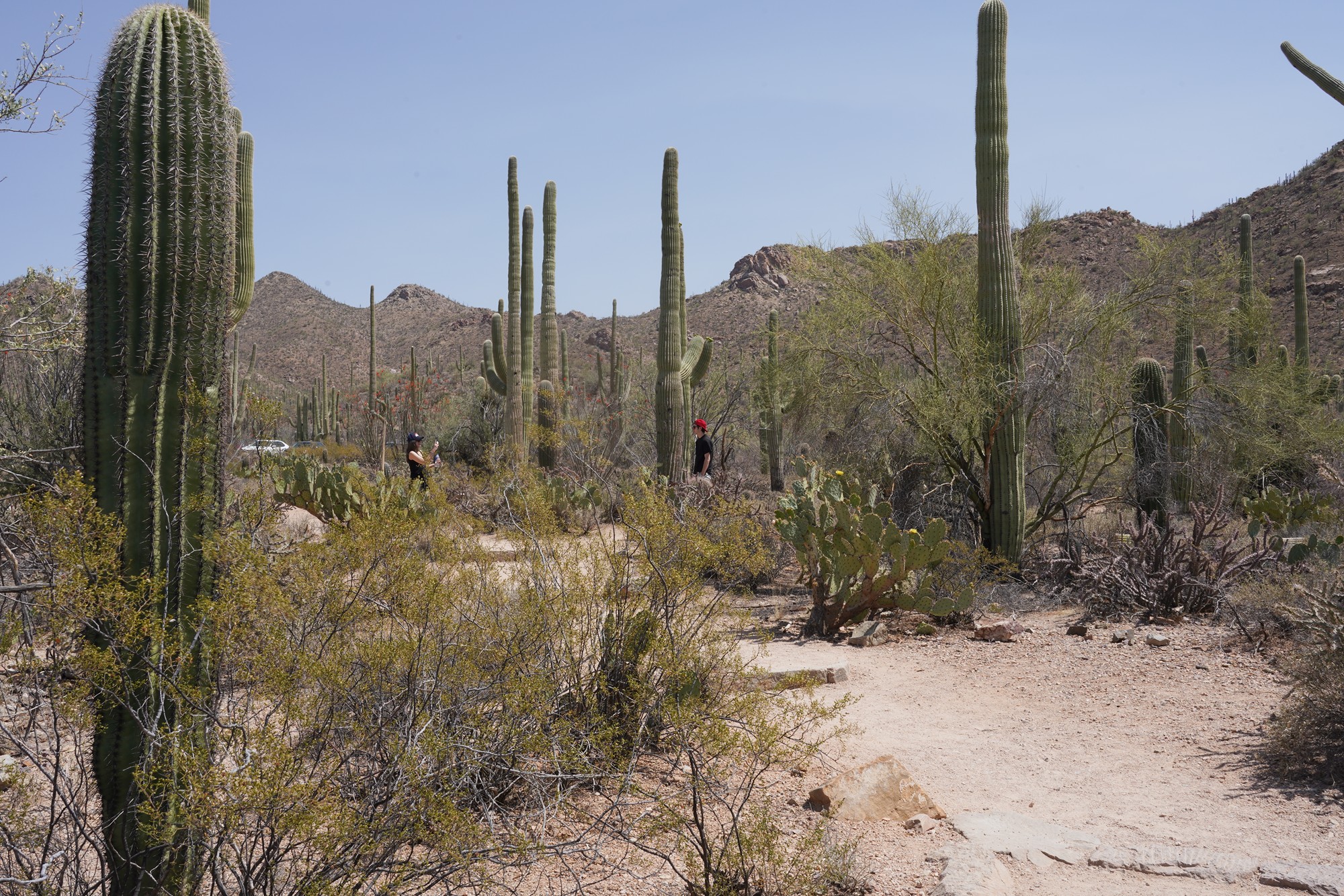 Tucson 1 (45)