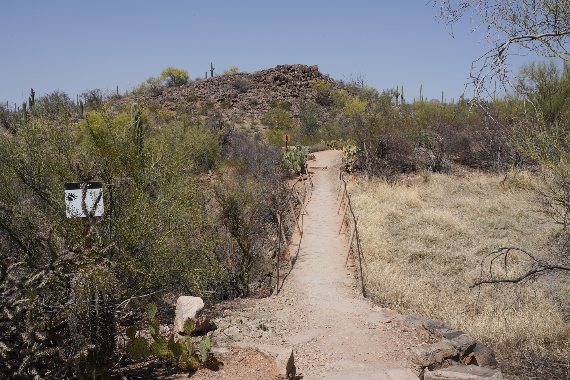 Tucson 1 (46)