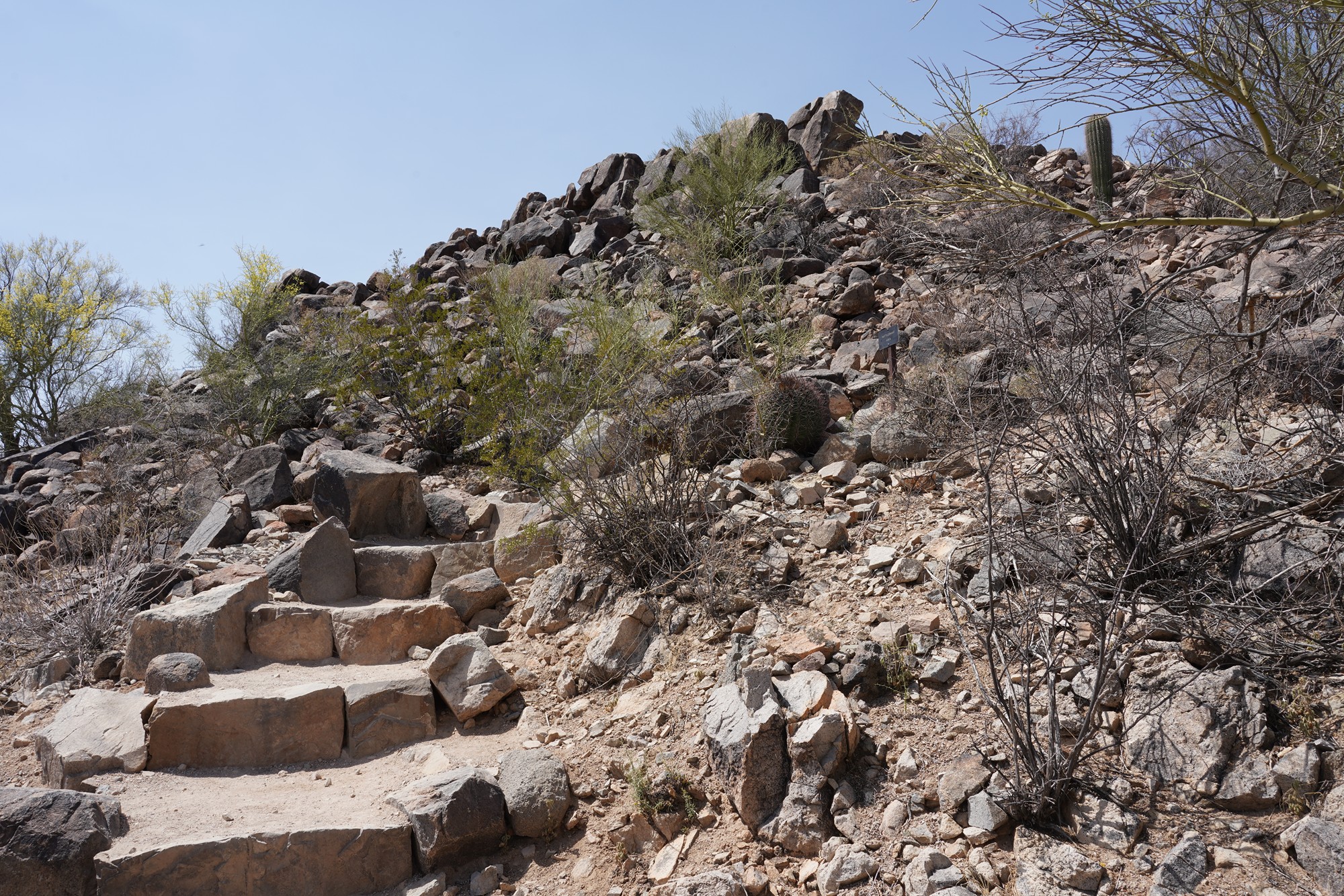 Tucson 1 (47)