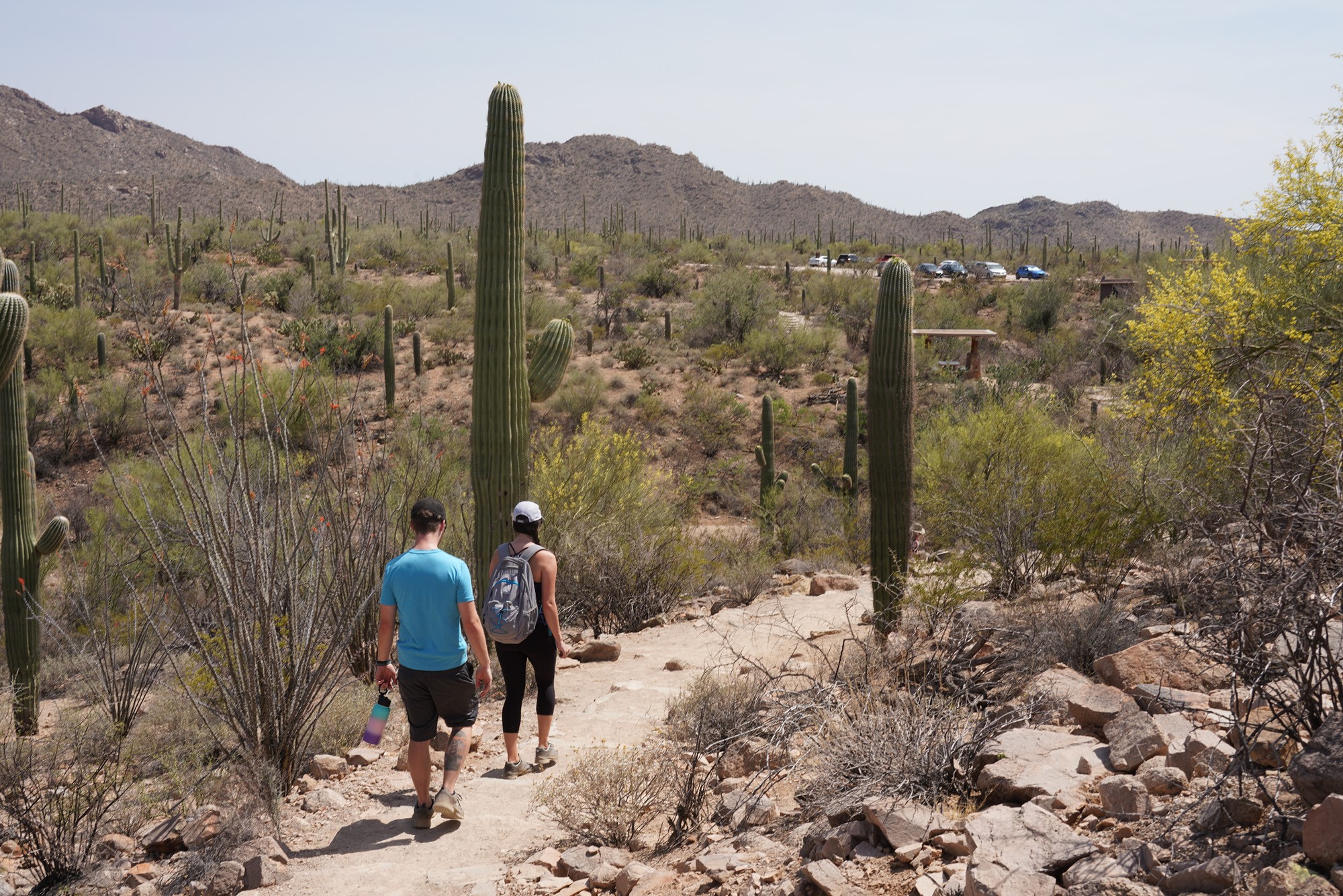Tucson 1 (48)