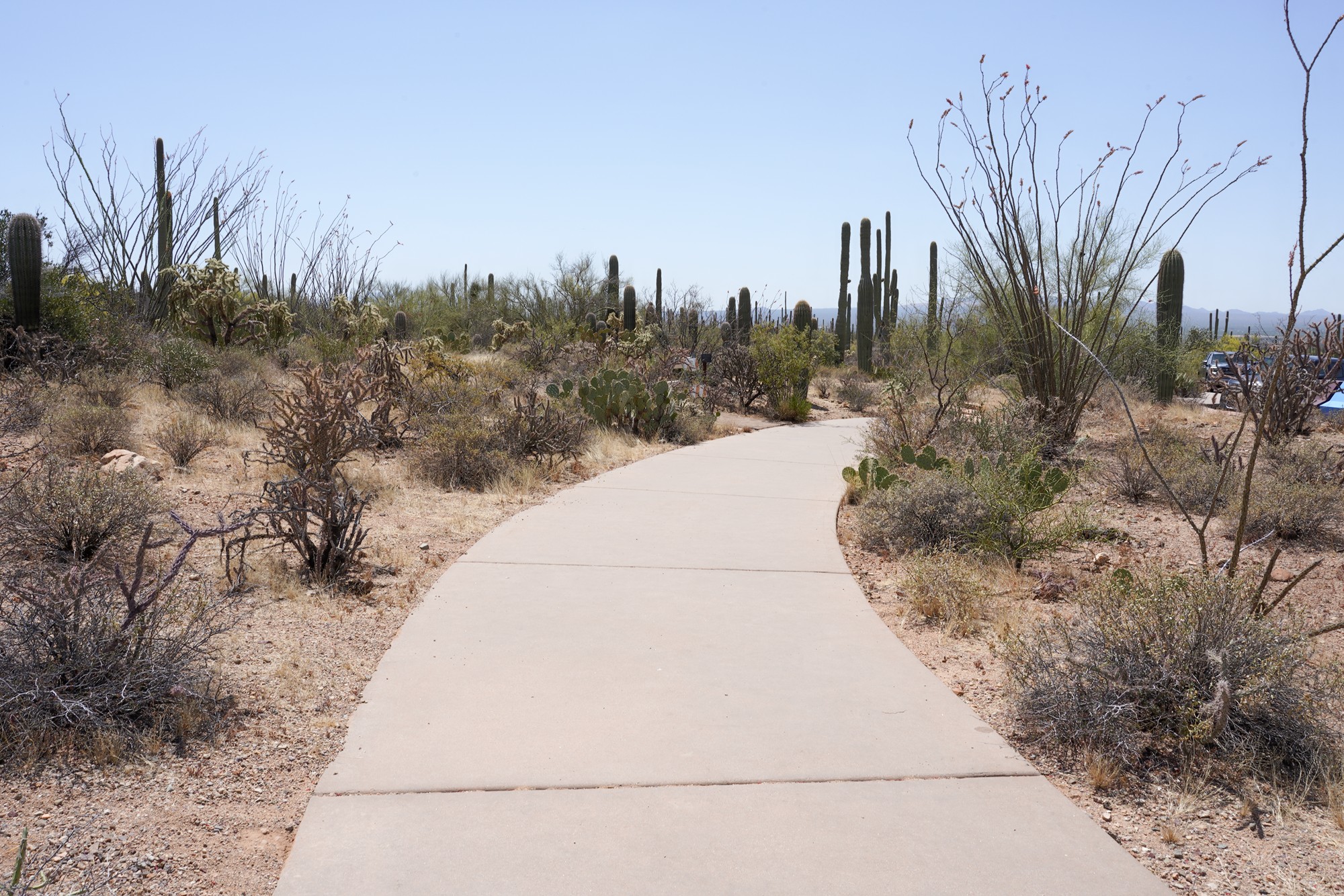 Tucson 1 (5)