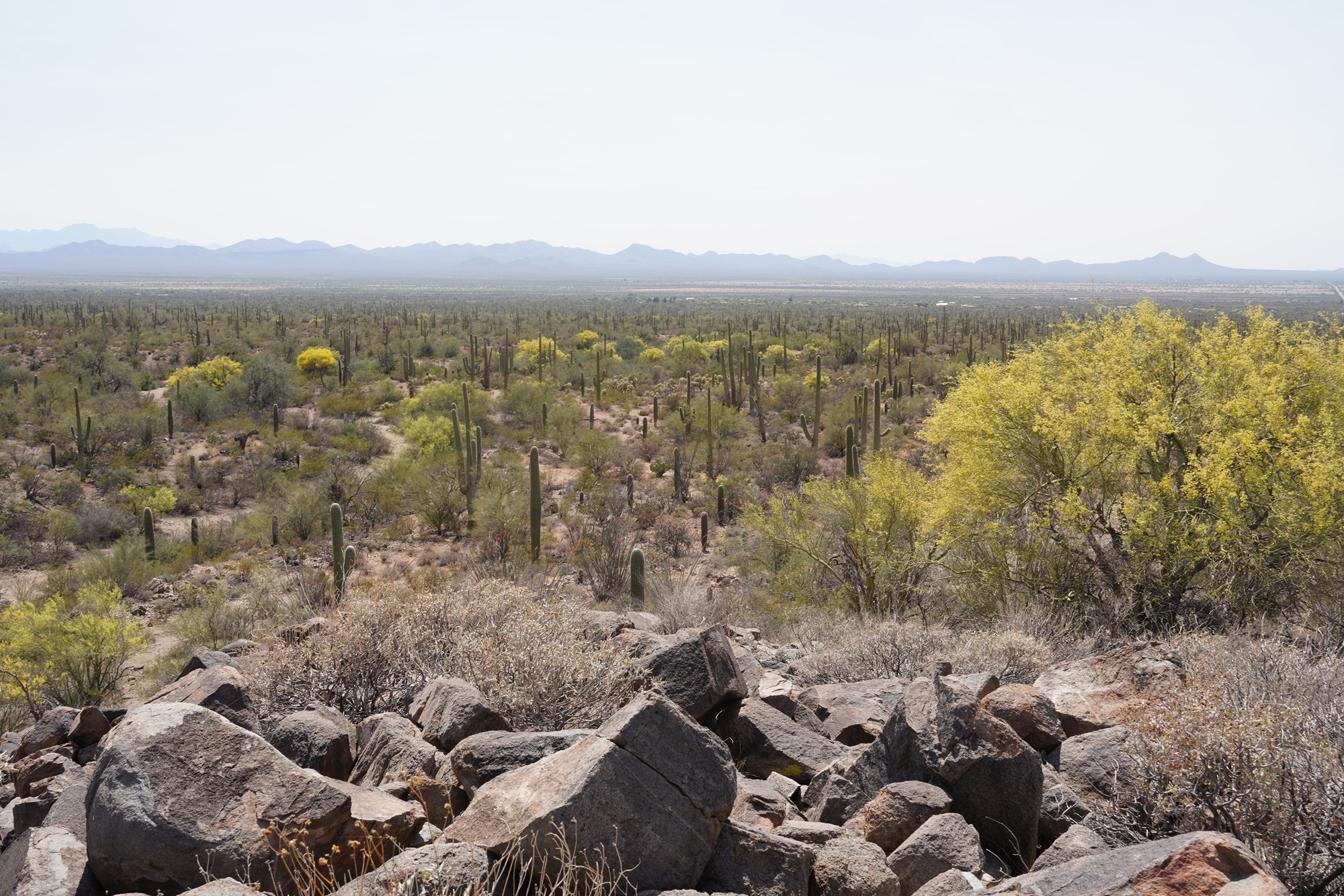 Tucson 1 (54)