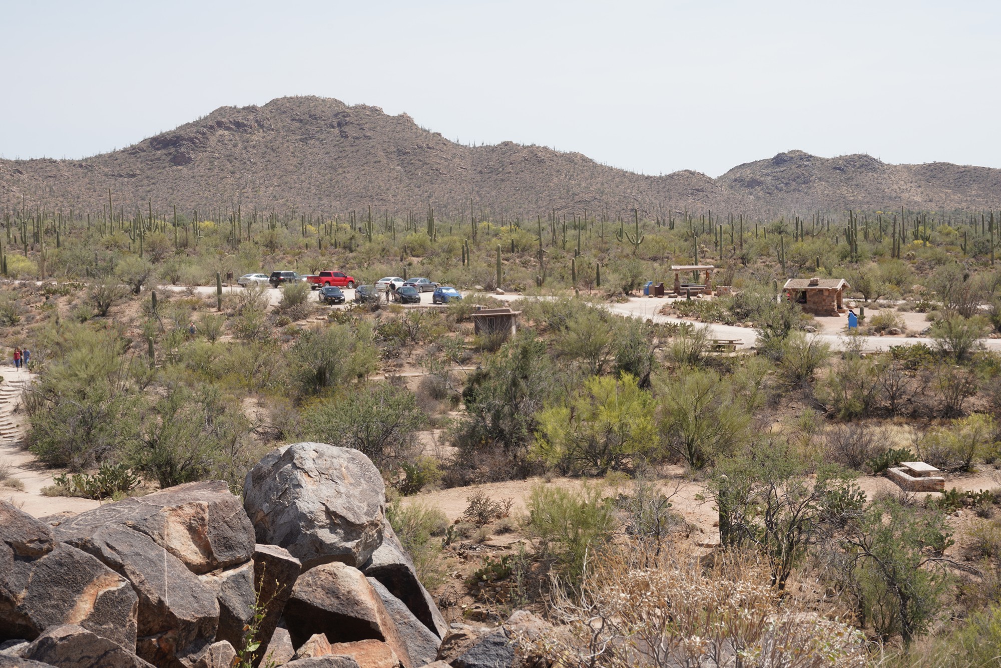 Tucson 1 (55)