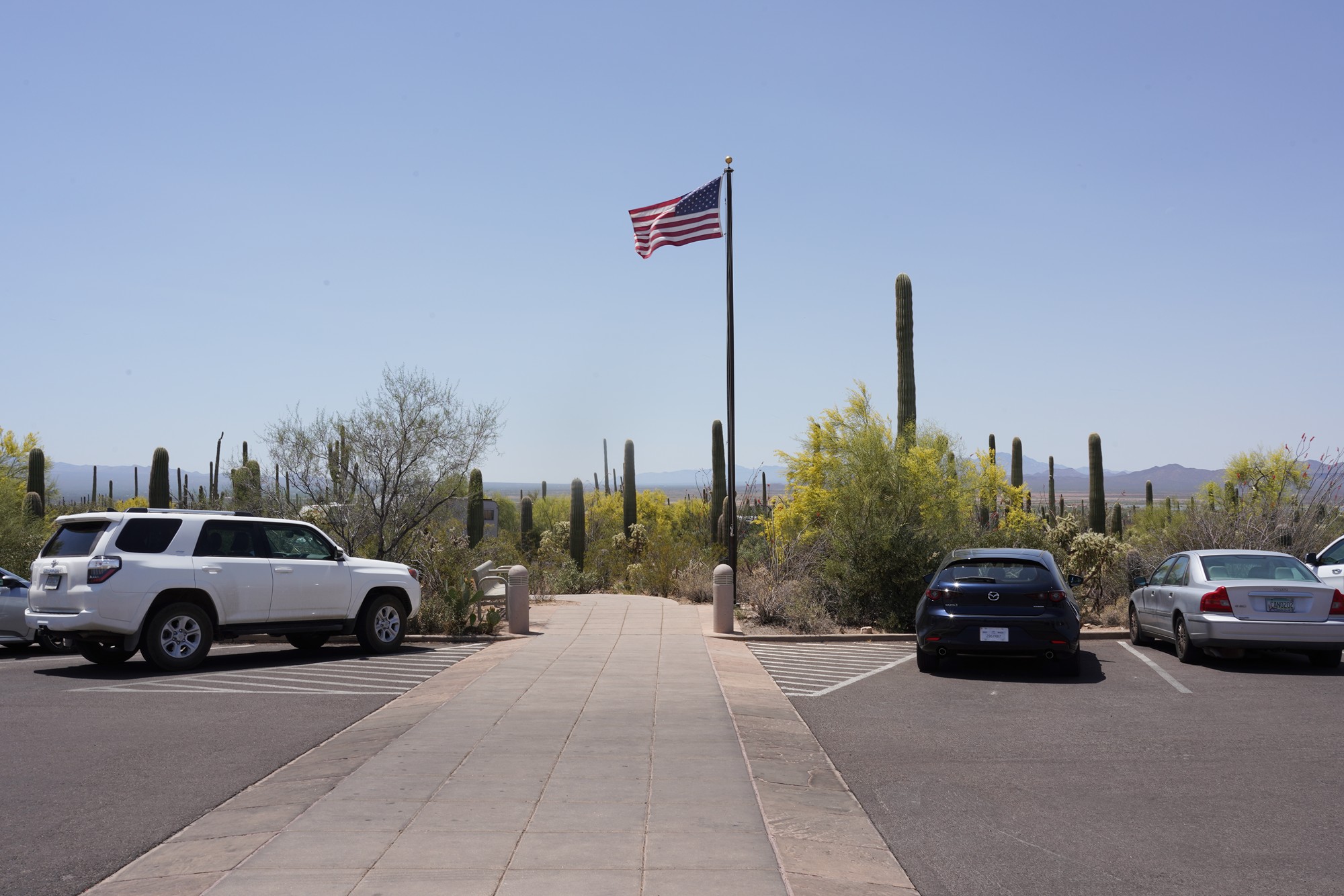 Tucson 1 (8)