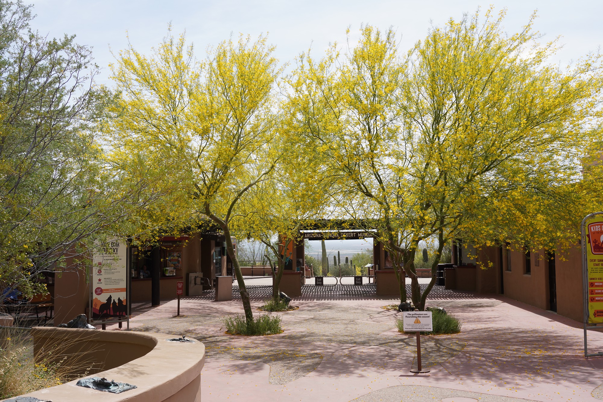 Tucson 5 (1)