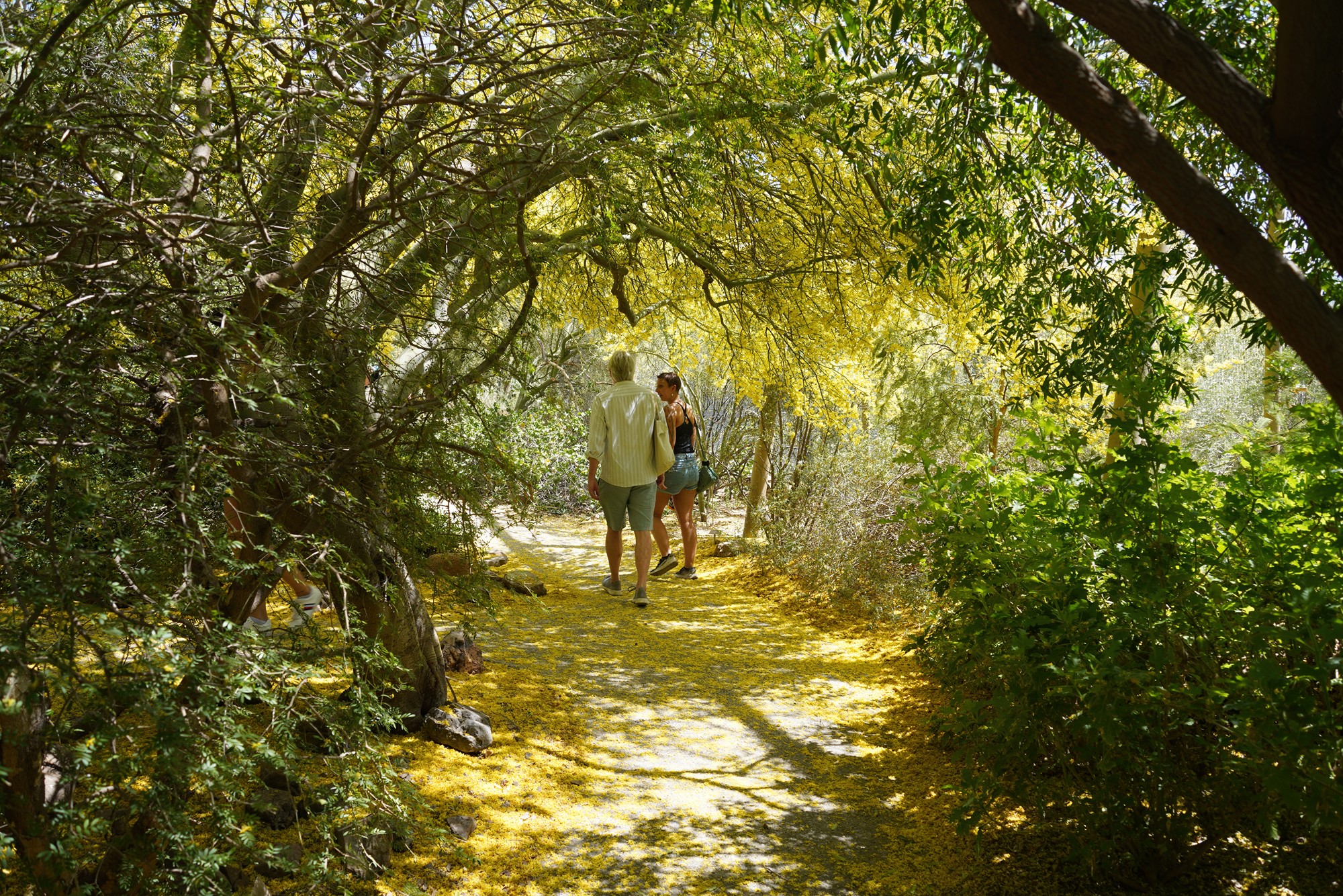 Tucson 5 (14)