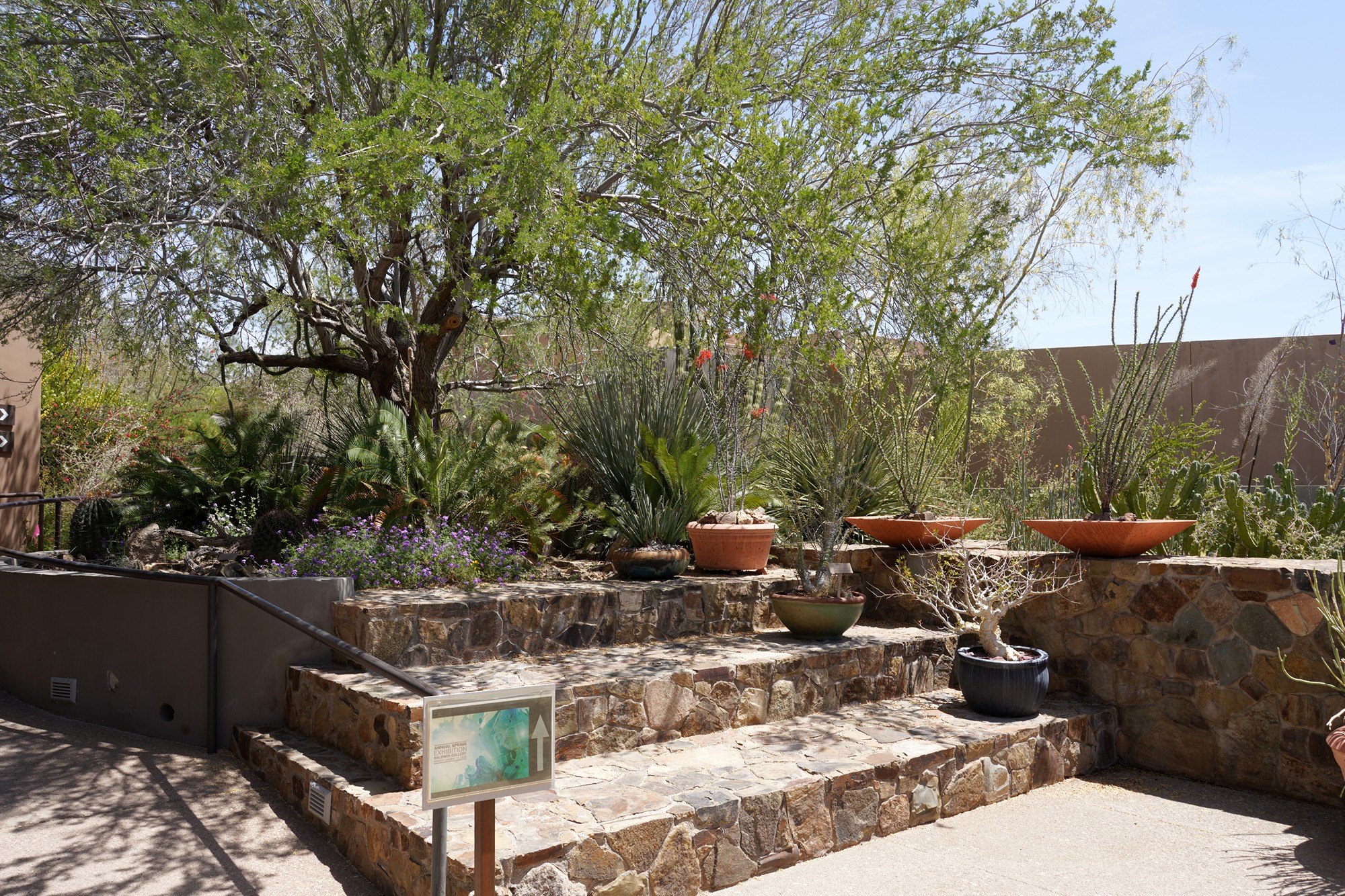 Tucson 5 (17)