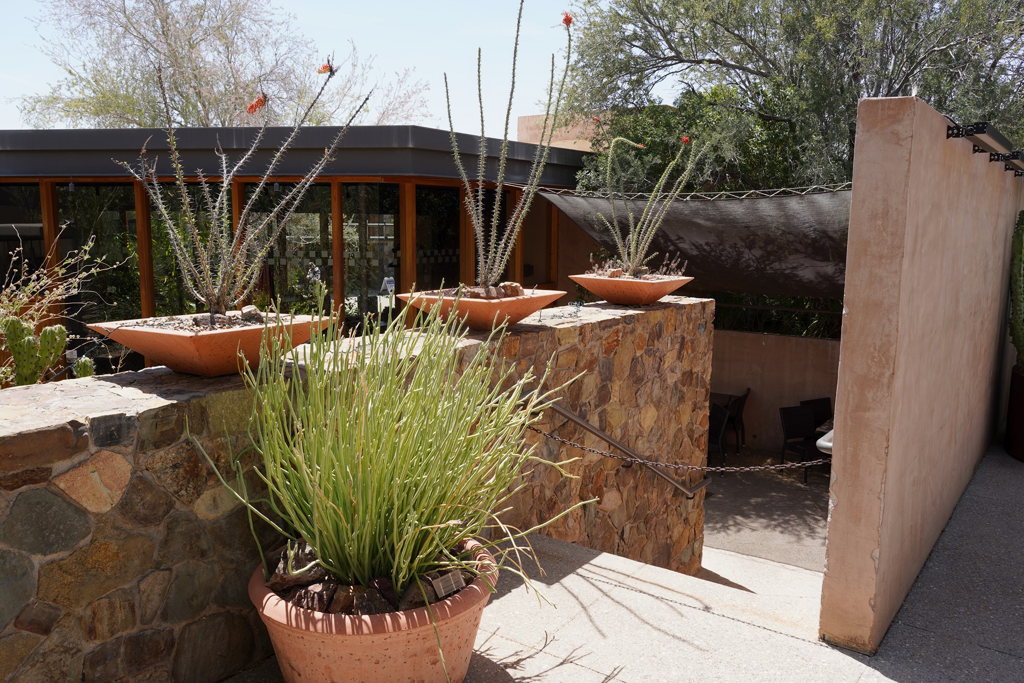 Tucson 5 (18)