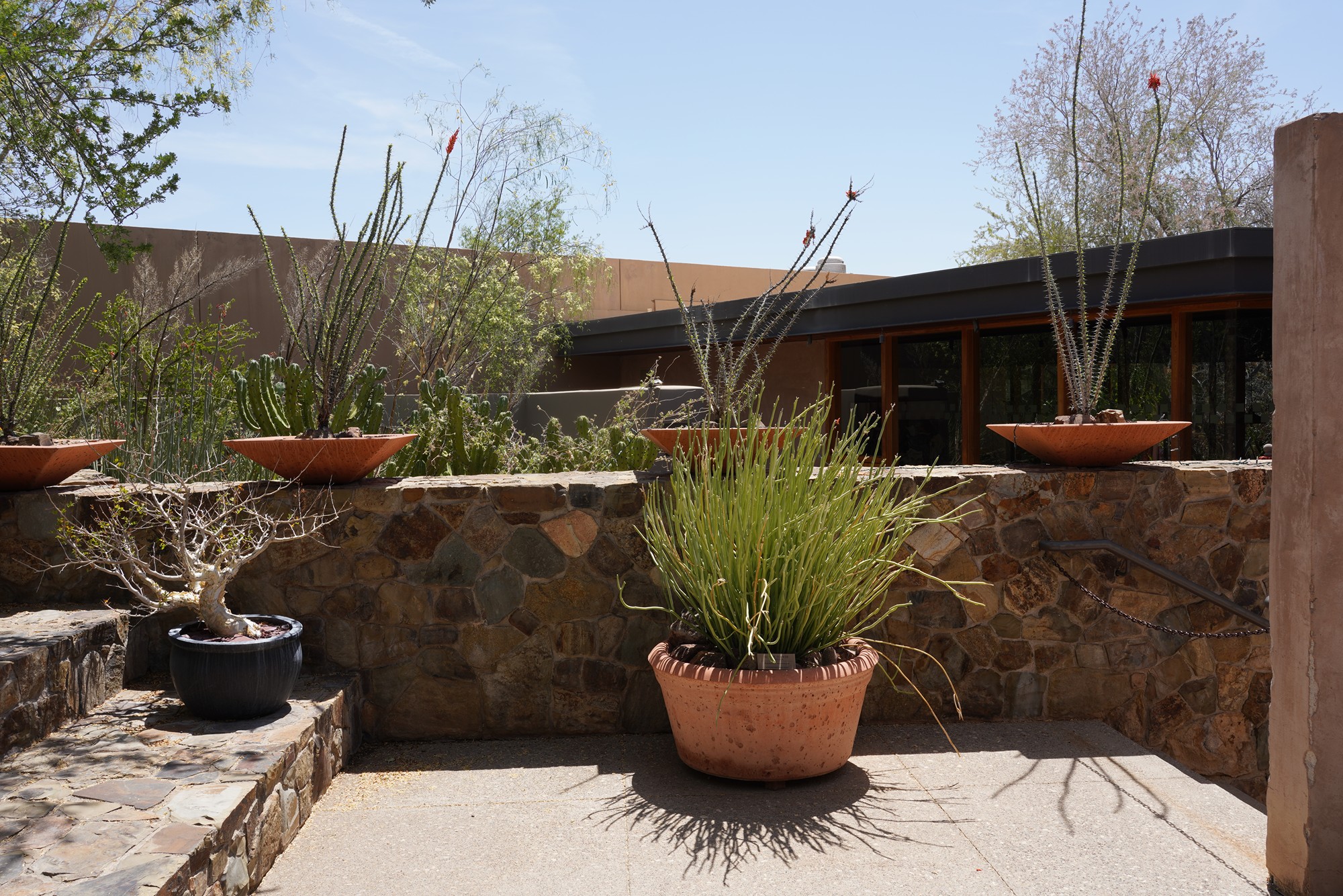 Tucson 5 (19)