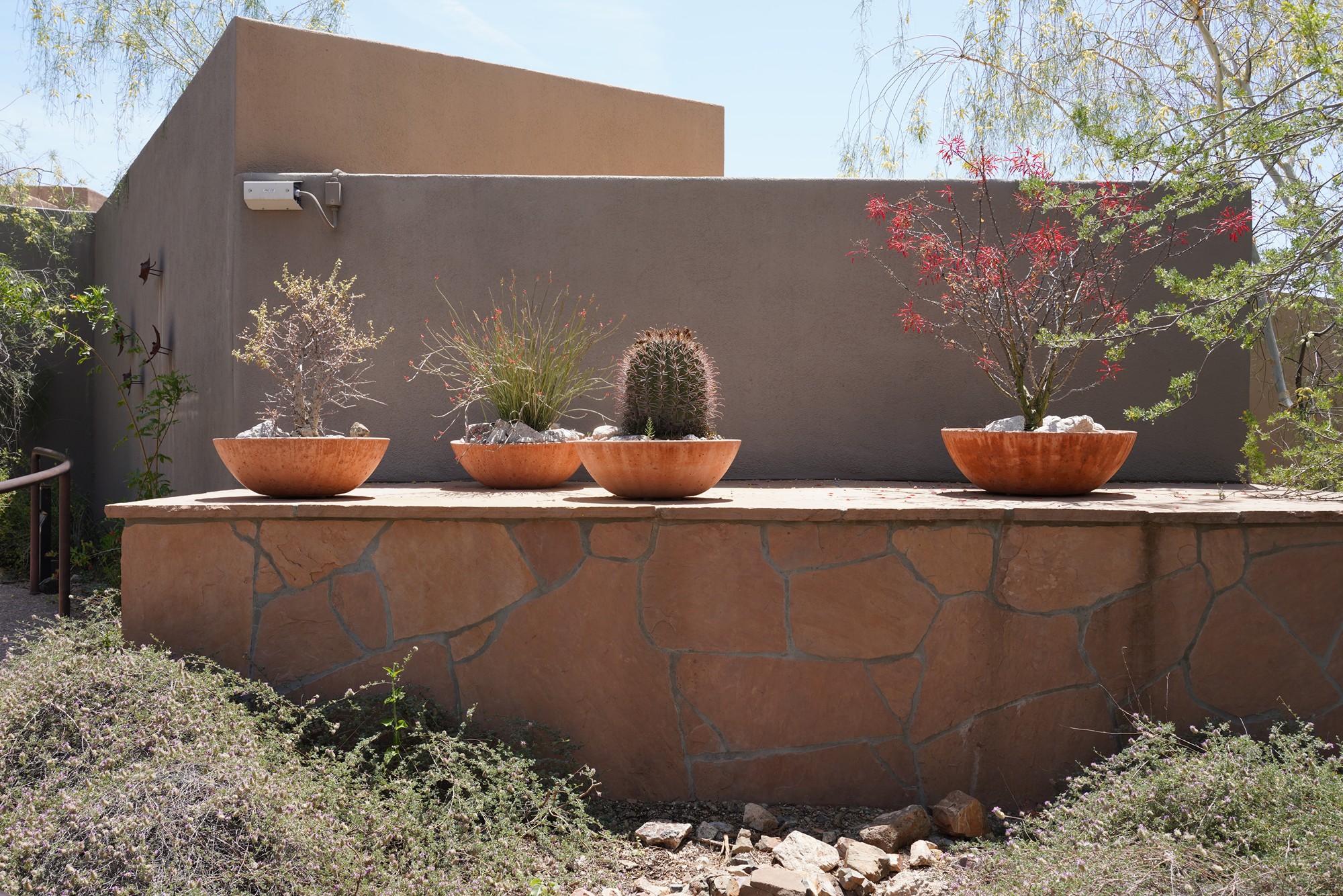 Tucson 5 (21)