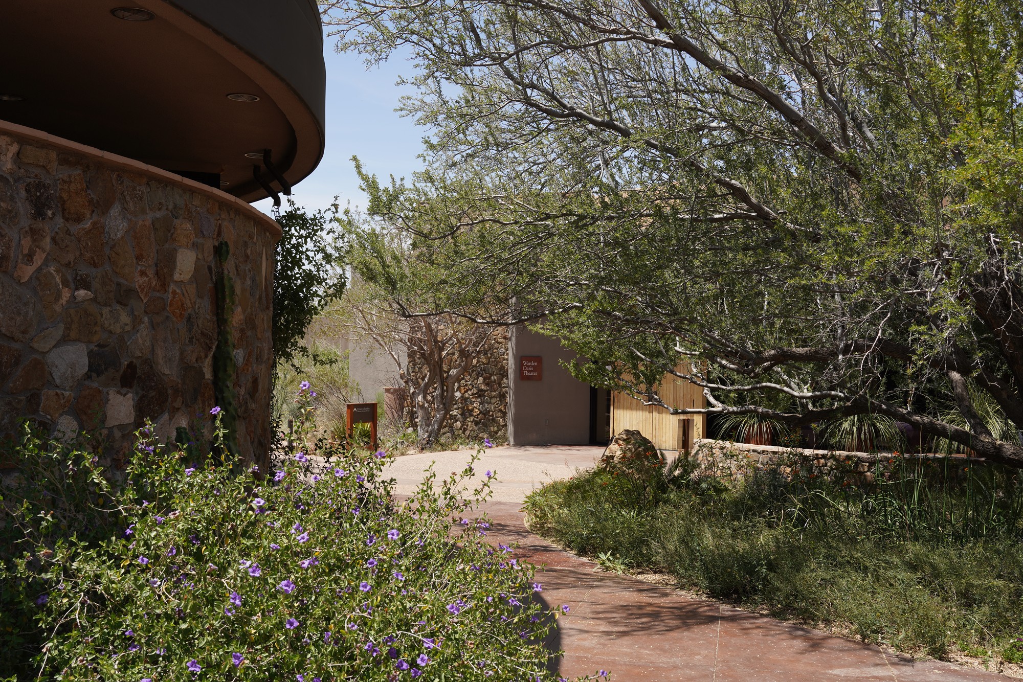 Tucson 5 (24)