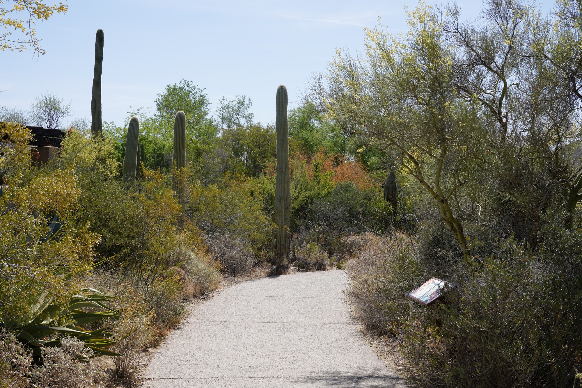 Tucson 5 (3)