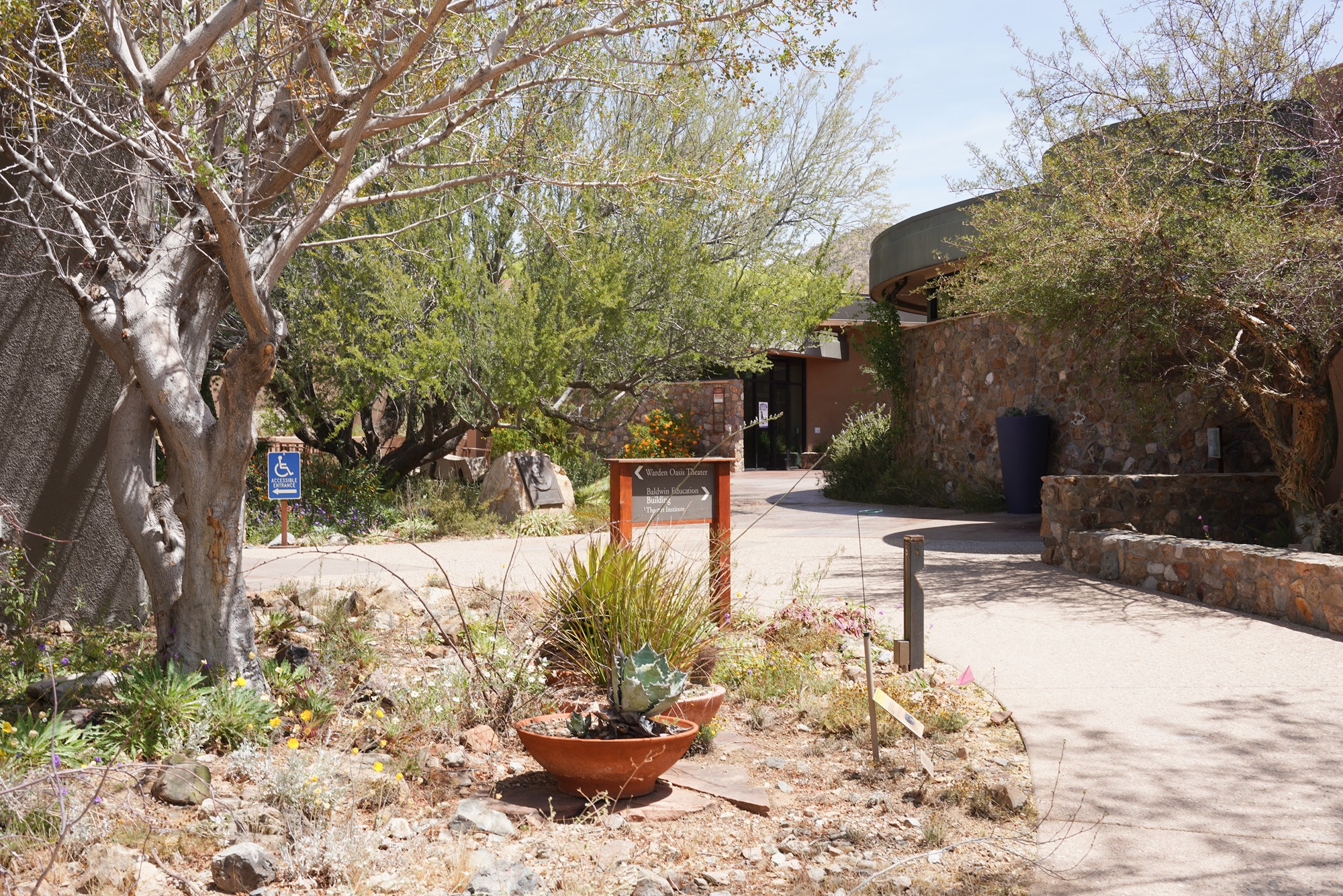 Tucson 5 (34)