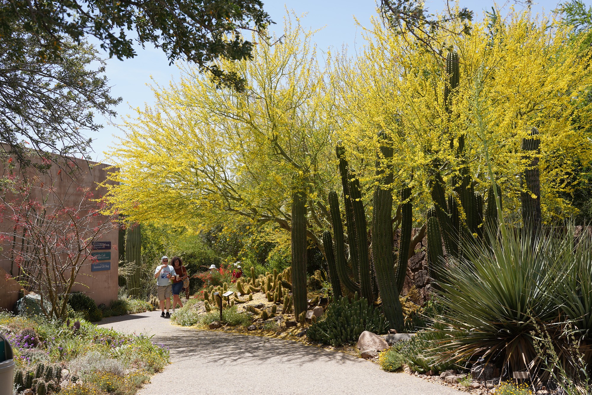 Tucson 5 (36)