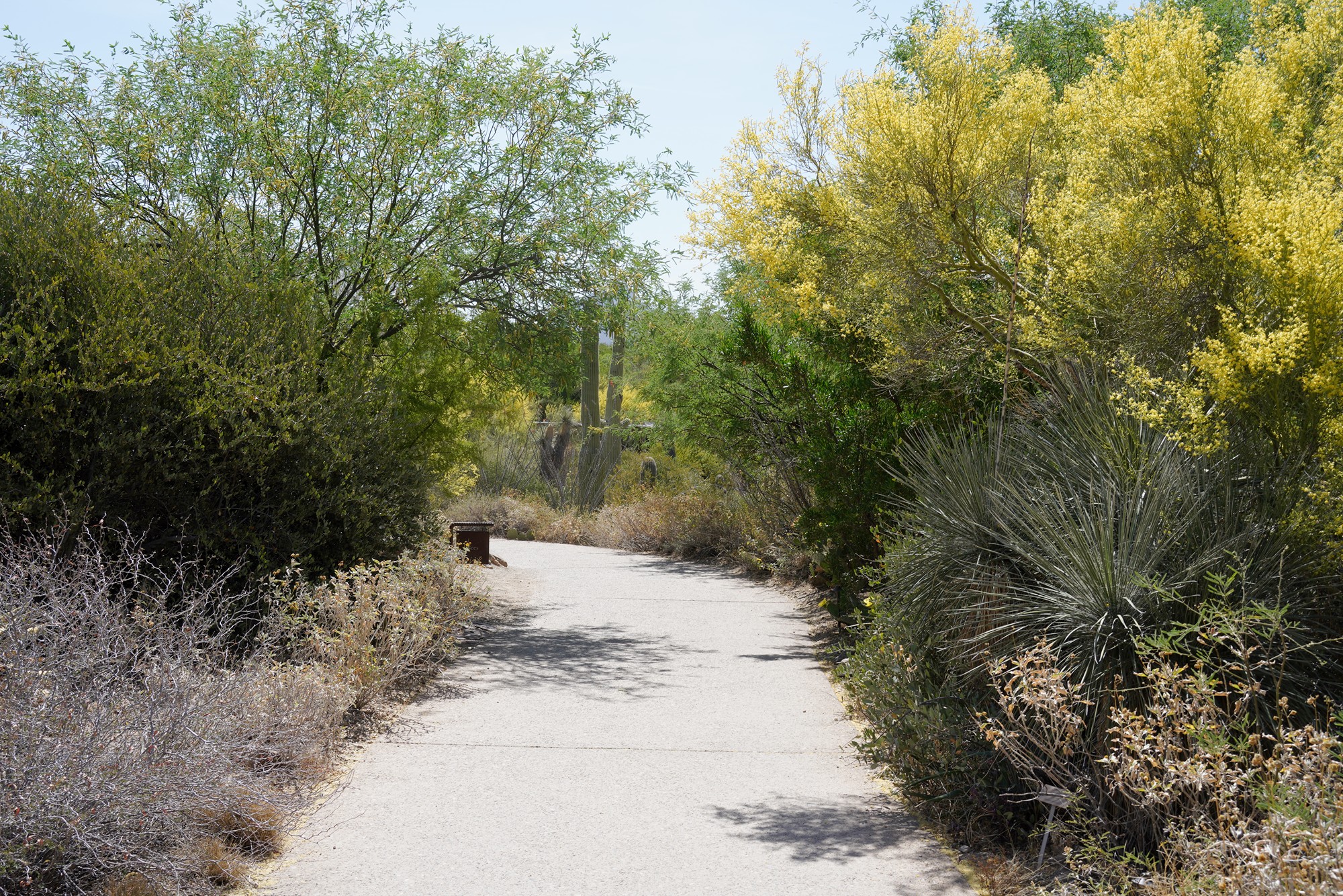 Tucson 5 (4)