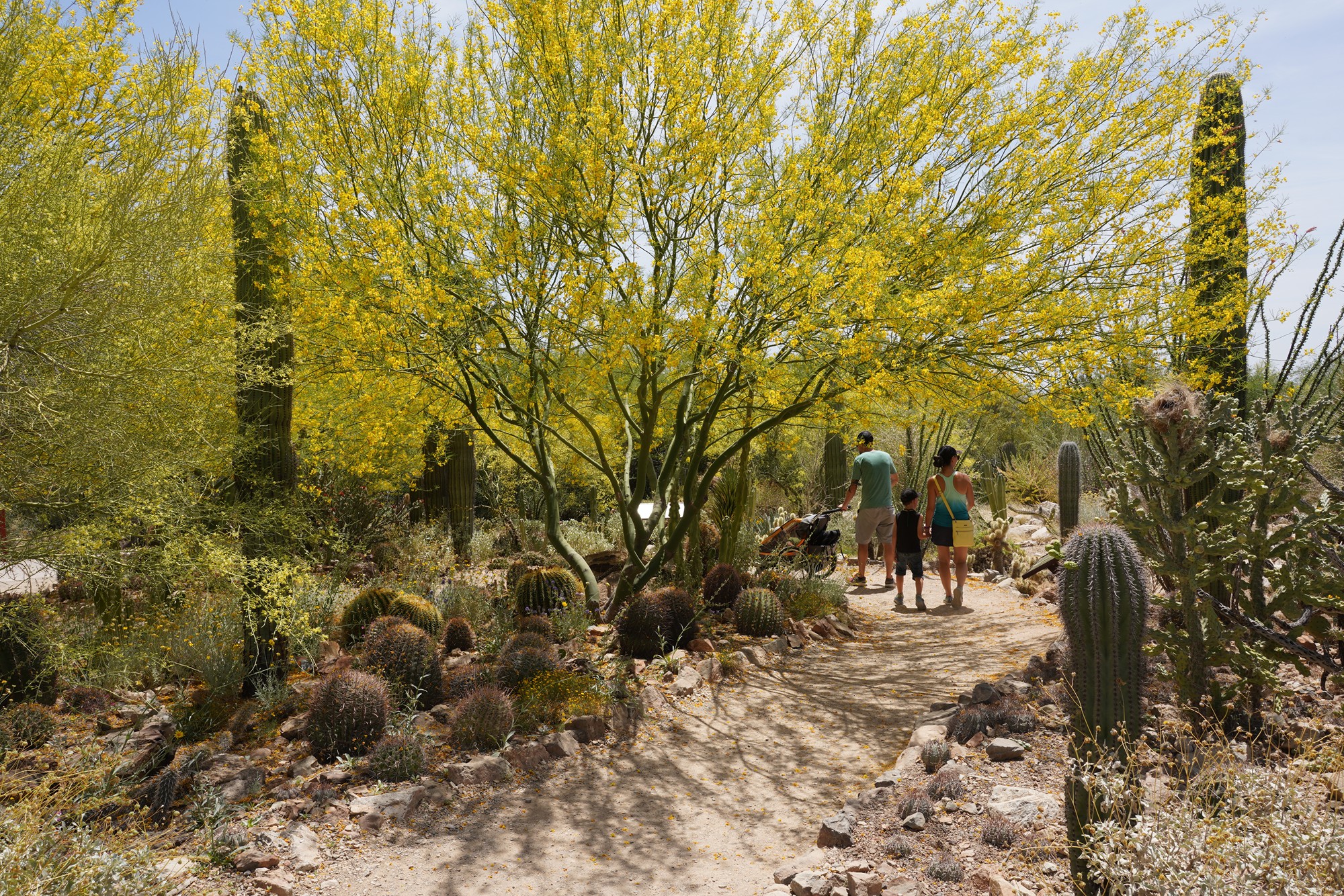 Tucson 5 (40)