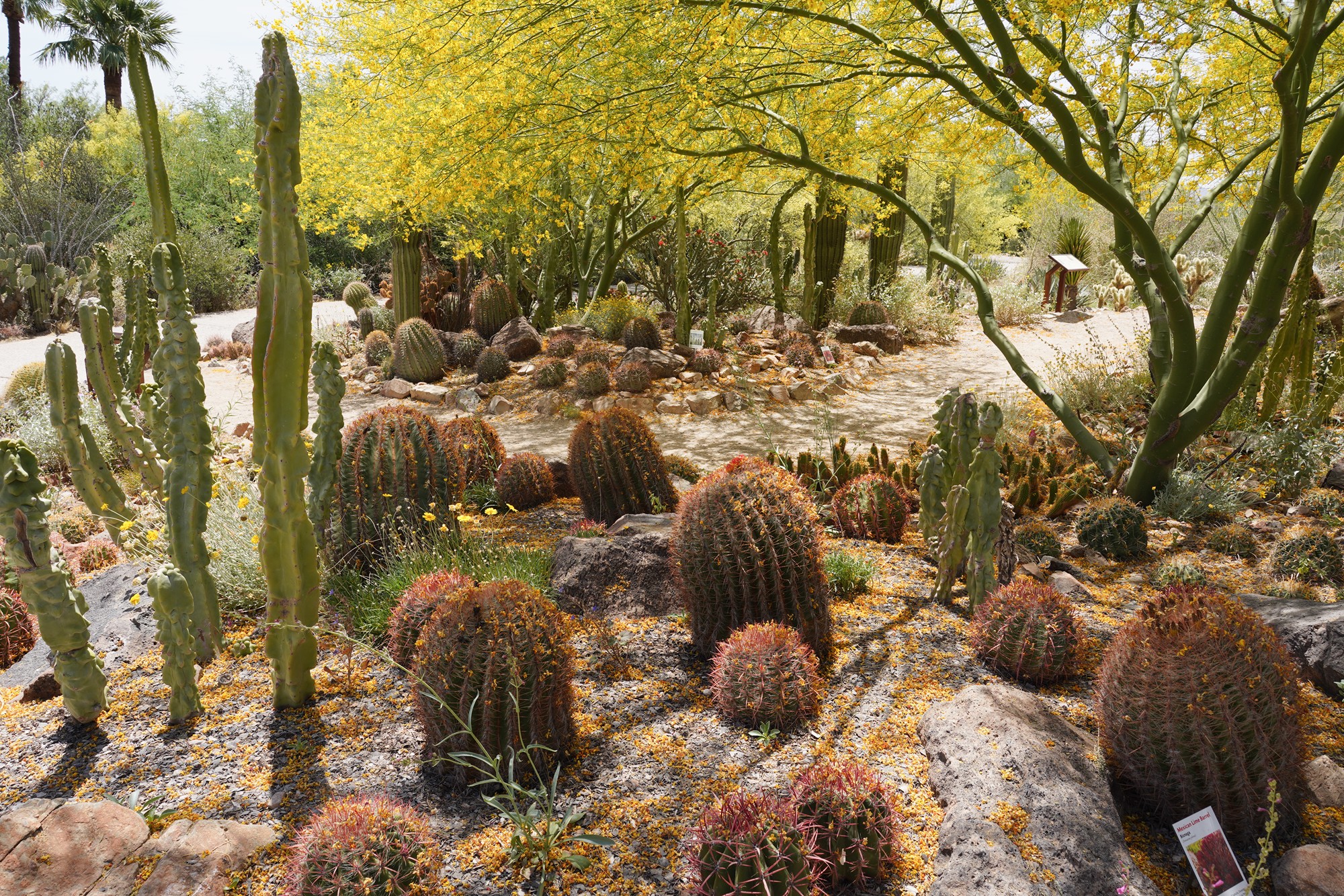 Tucson 5 (41)