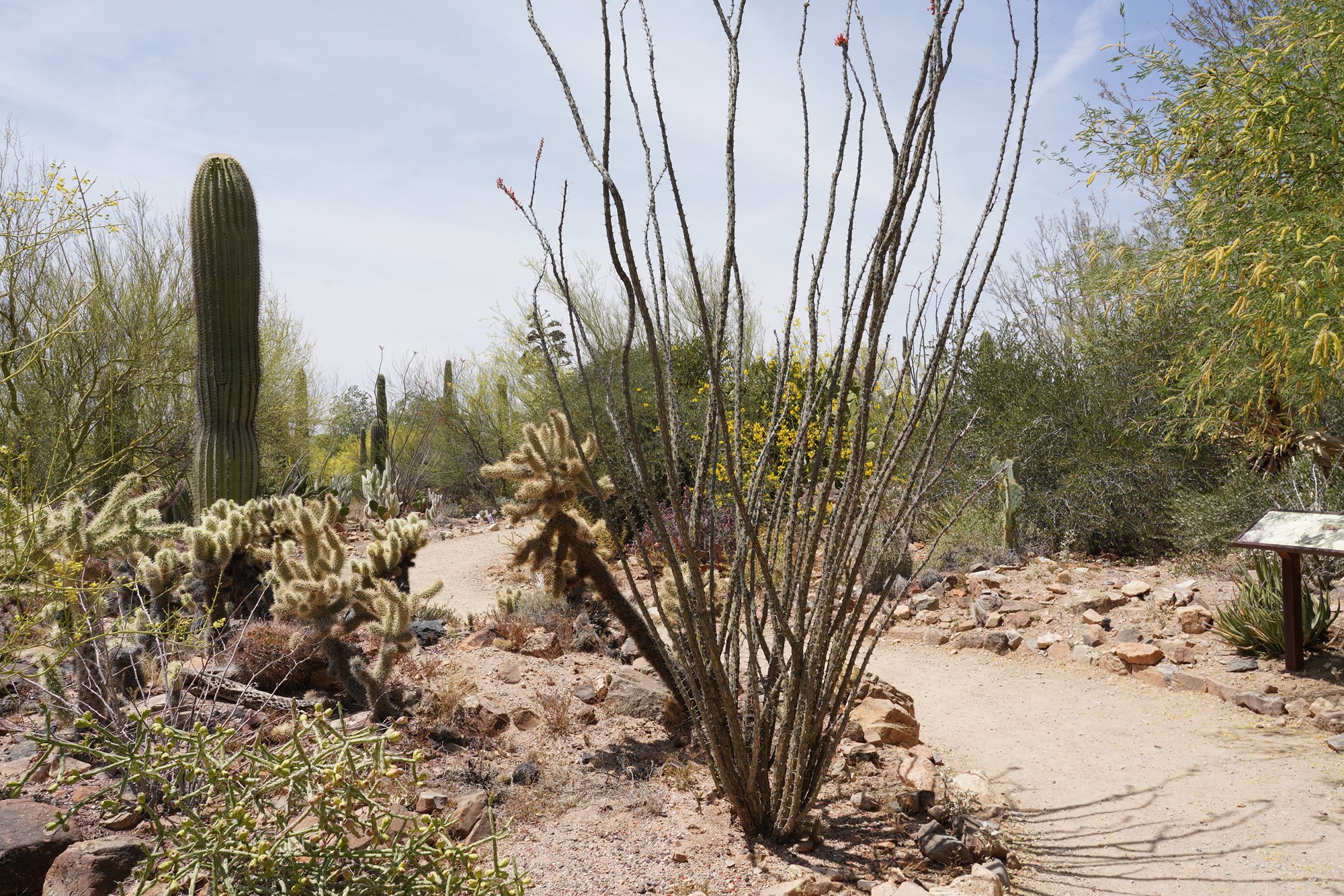 Tucson 5 (45)