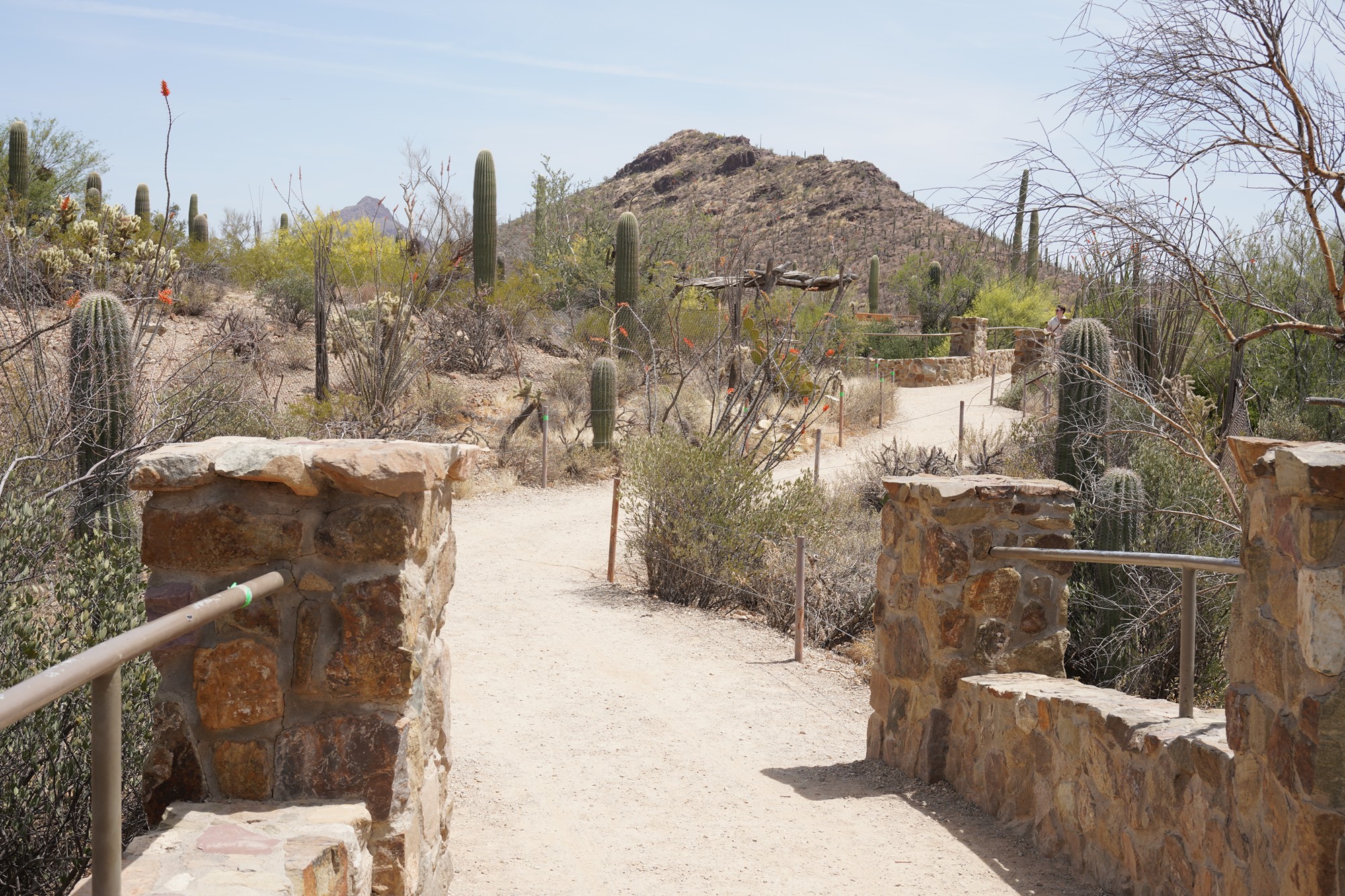 Tucson 5 (53)
