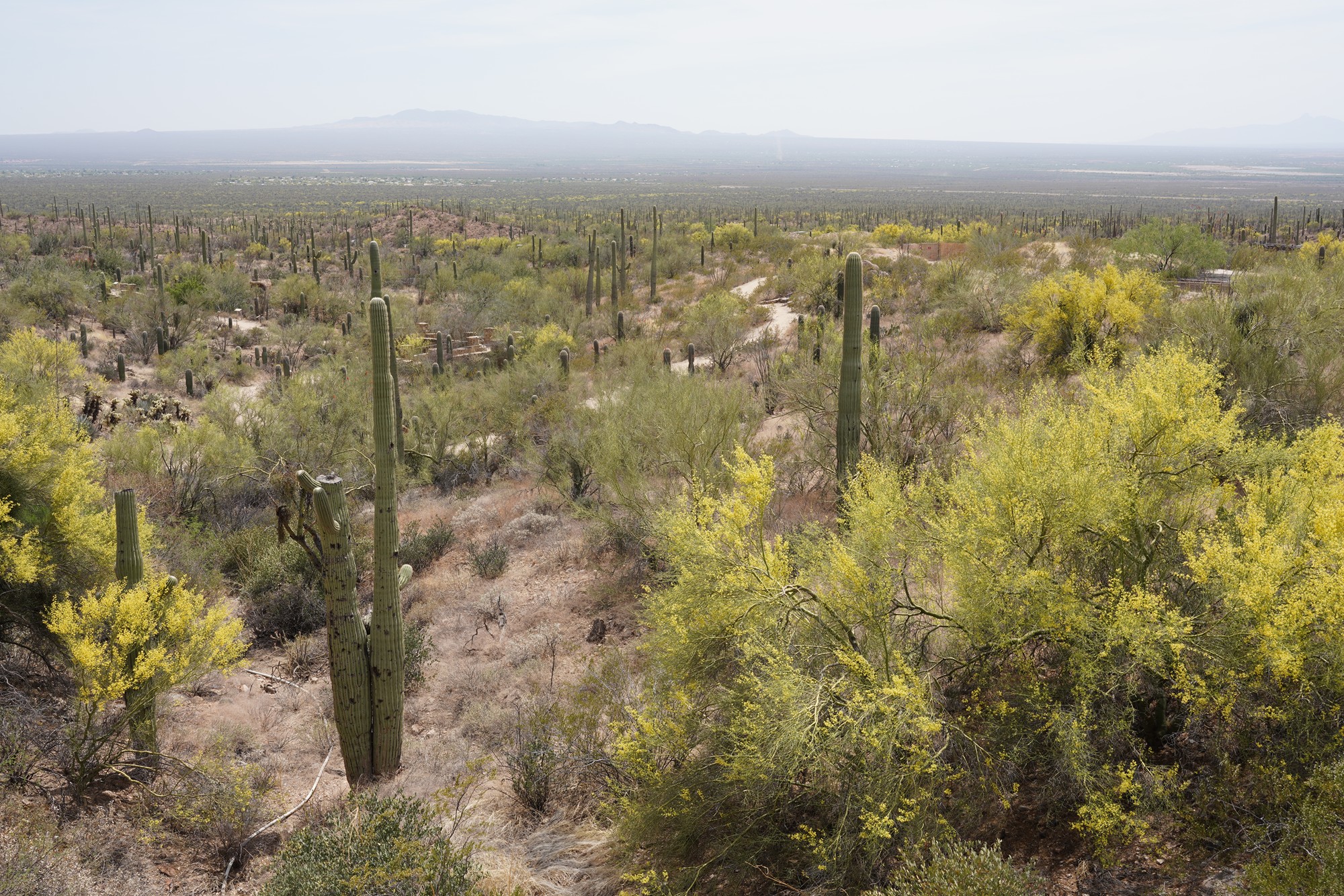Tucson 5 (54)