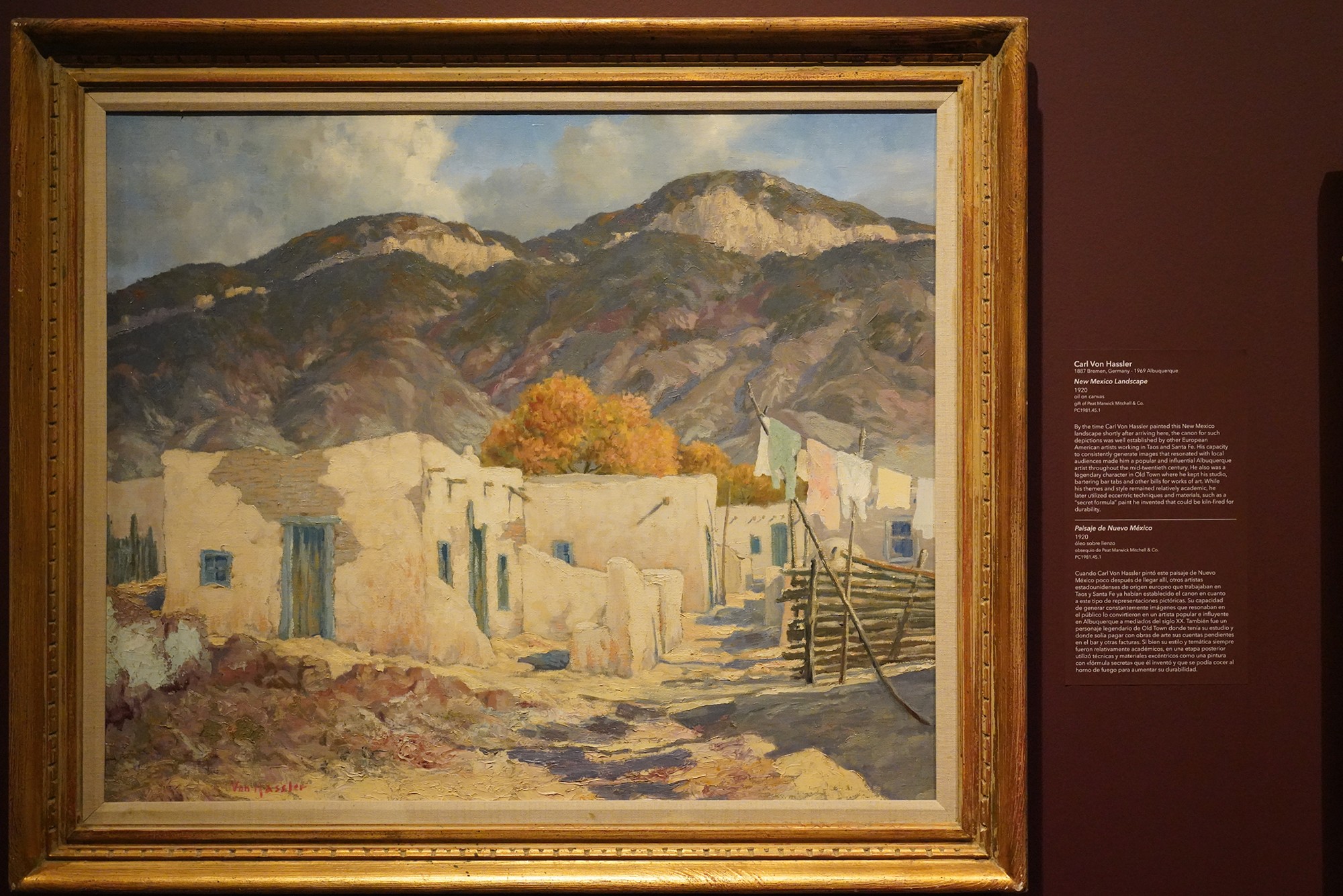 Albuquerque Museum (14)