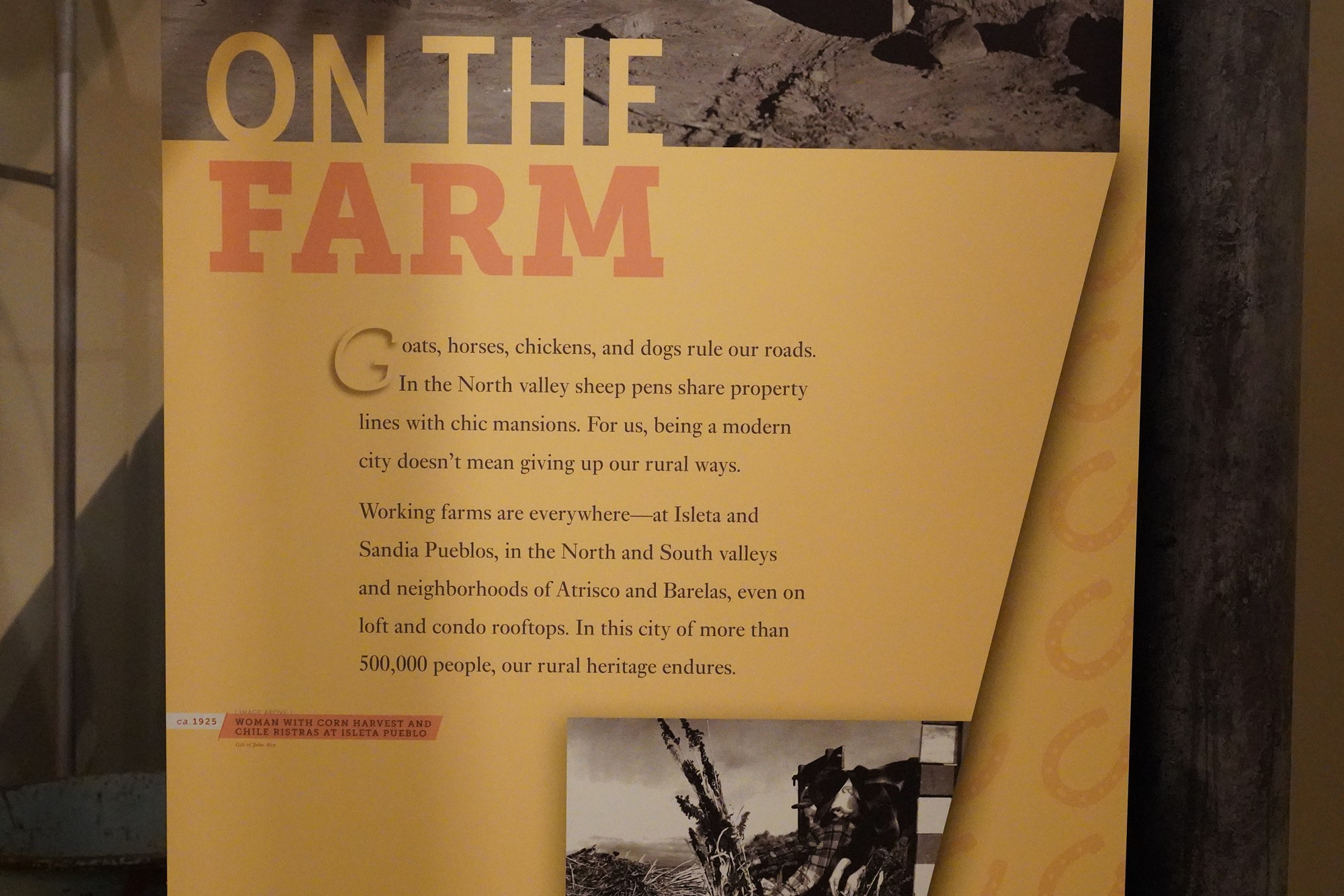 Albuquerque Museum (50)