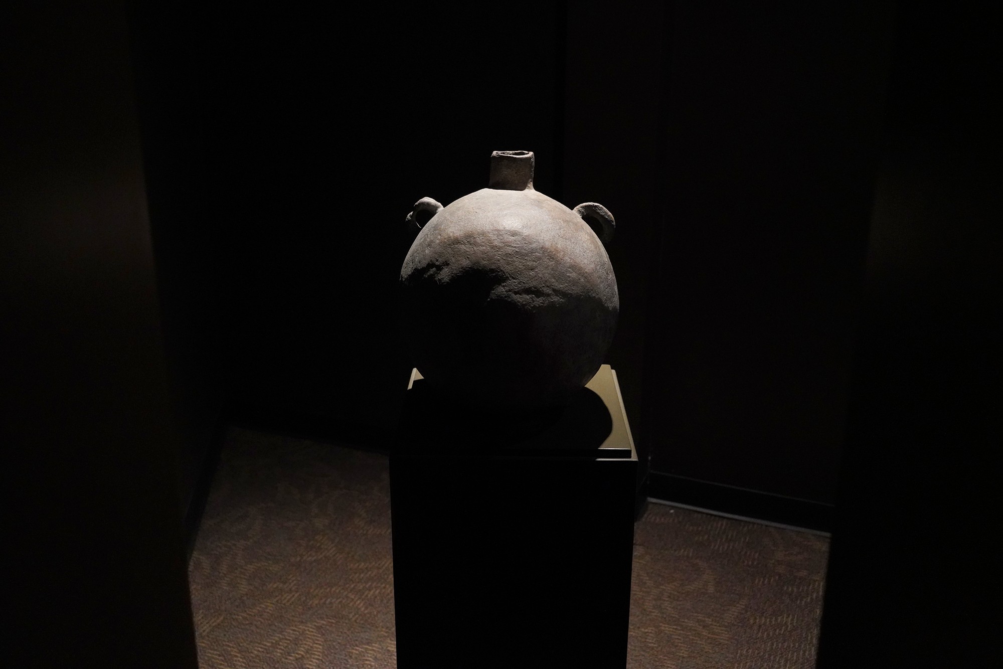 Albuquerque Museum (9)